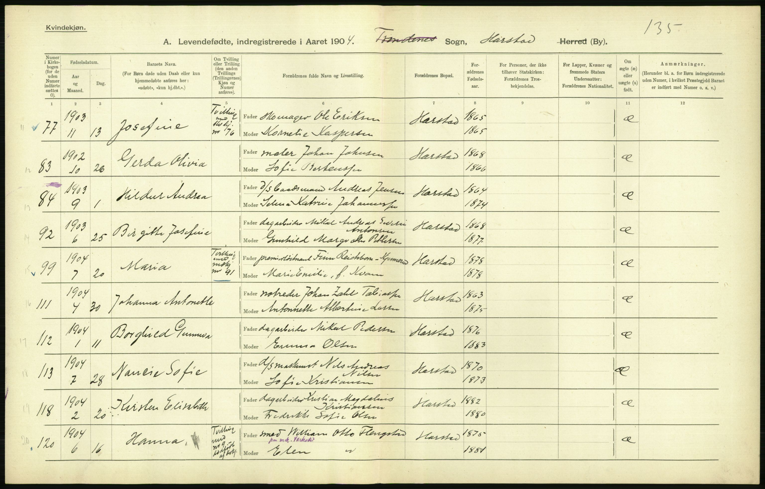 Statistisk sentralbyrå, Sosiodemografiske emner, Befolkning, AV/RA-S-2228/D/Df/Dfa/Dfab/L0022: Tromsø amt: Fødte, gifte, døde, 1904, p. 292