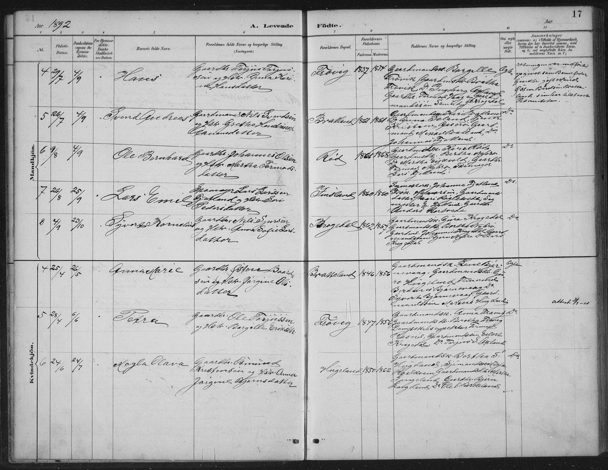 Vikedal sokneprestkontor, AV/SAST-A-101840/01/IV: Parish register (official) no. A 12, 1886-1929, p. 17