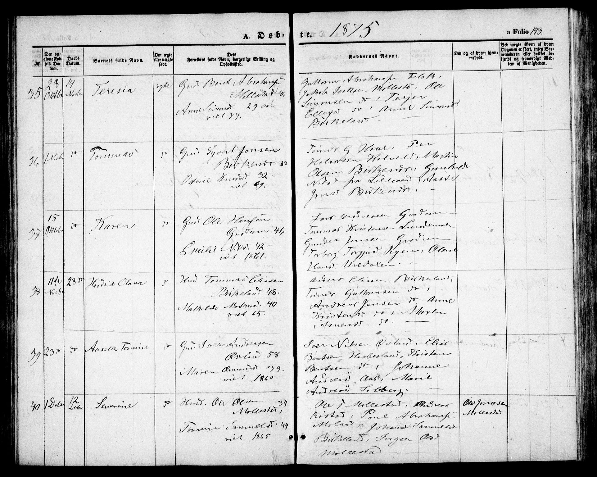 Birkenes sokneprestkontor, SAK/1111-0004/F/Fb/L0002: Parish register (copy) no. B 2, 1849-1876, p. 173