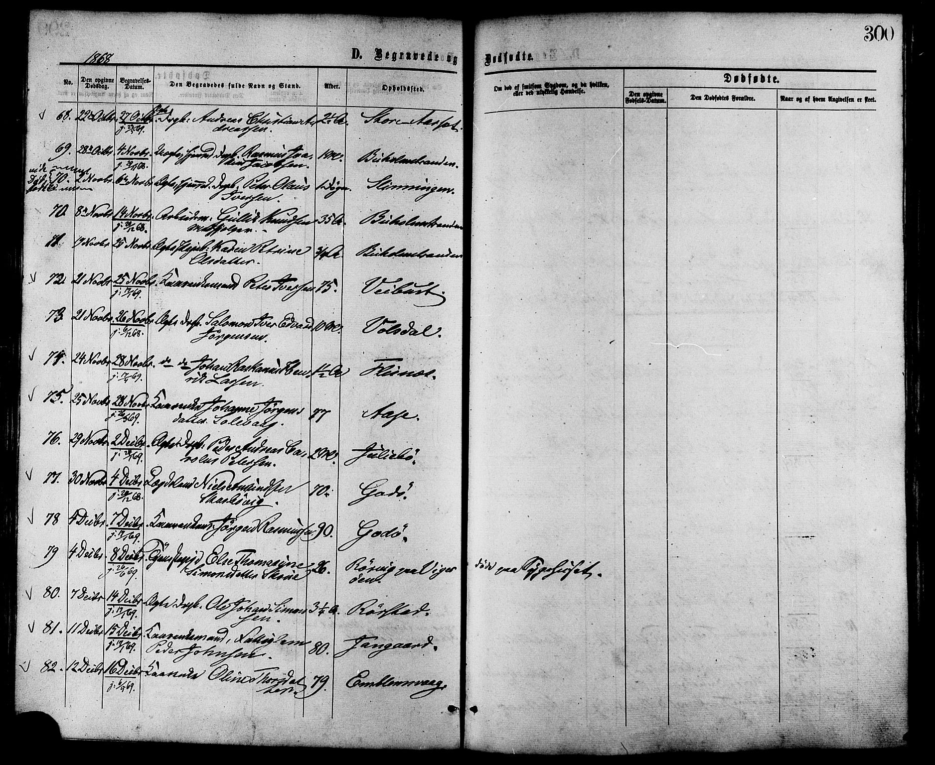 Ministerialprotokoller, klokkerbøker og fødselsregistre - Møre og Romsdal, AV/SAT-A-1454/528/L0399: Parish register (official) no. 528A10, 1864-1879, p. 300