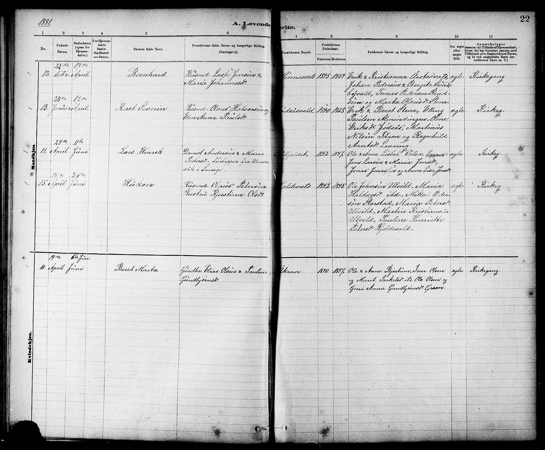 Ministerialprotokoller, klokkerbøker og fødselsregistre - Nord-Trøndelag, AV/SAT-A-1458/724/L0267: Parish register (copy) no. 724C03, 1879-1898, p. 22