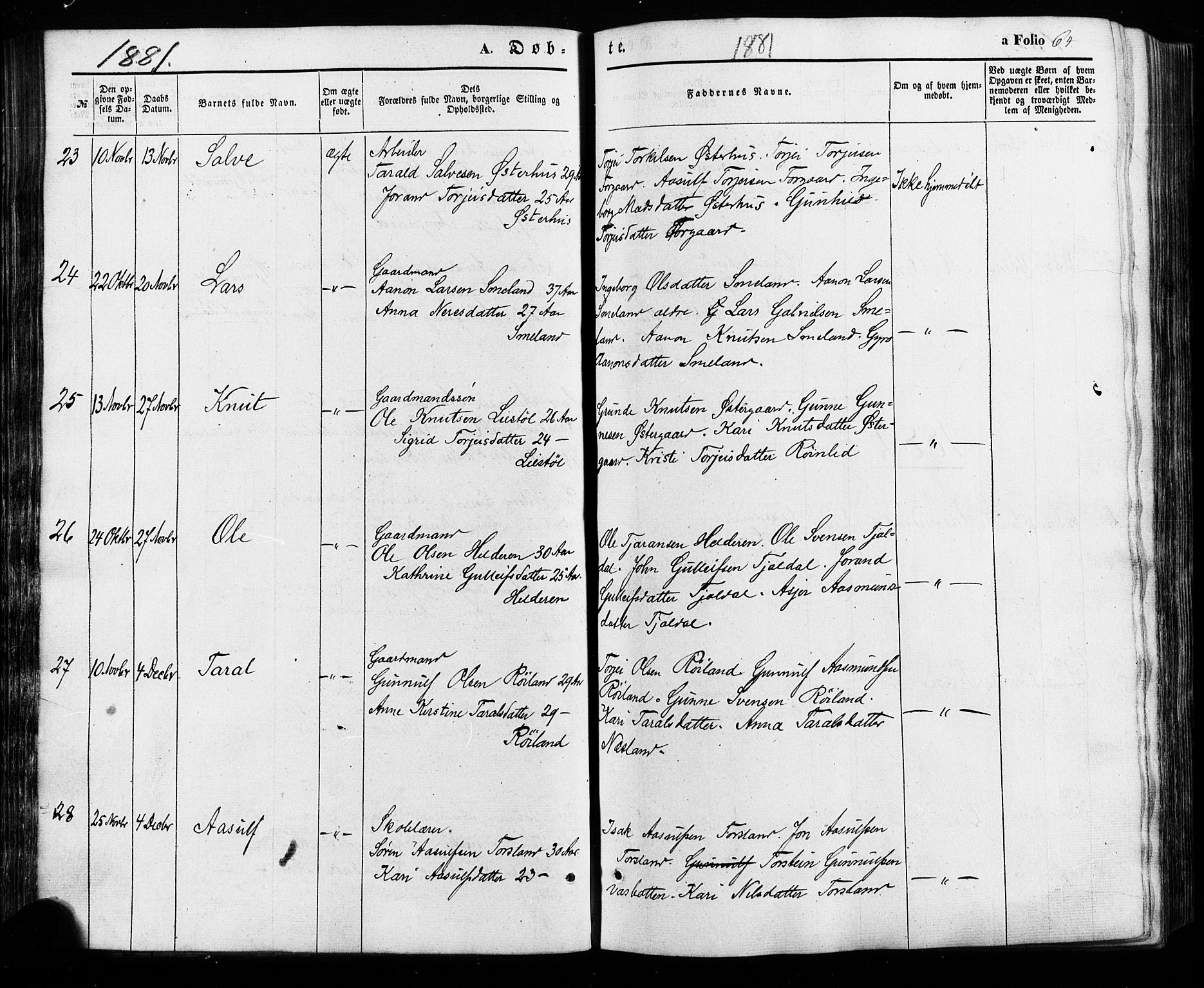 Åseral sokneprestkontor, SAK/1111-0051/F/Fa/L0002: Parish register (official) no. A 2, 1854-1884, p. 64