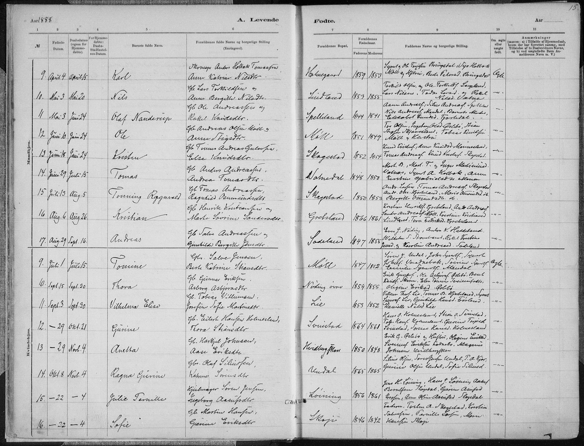 Holum sokneprestkontor, AV/SAK-1111-0022/F/Fa/Faa/L0007: Parish register (official) no. A 7, 1884-1907, p. 15