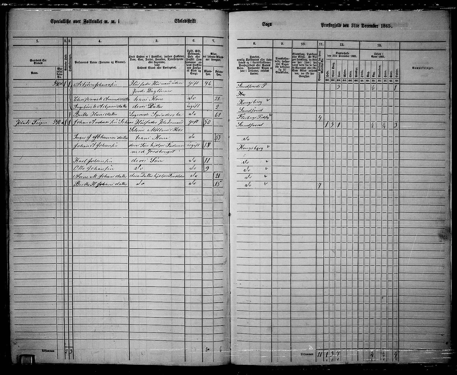 RA, 1865 census for Sandsvær, 1865, p. 185