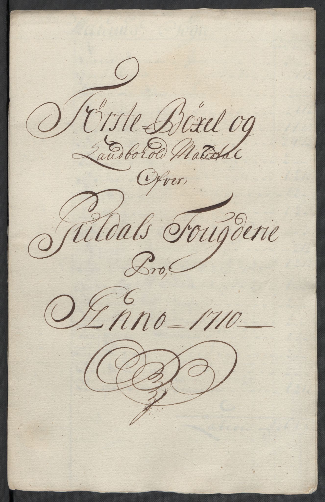 Rentekammeret inntil 1814, Reviderte regnskaper, Fogderegnskap, RA/EA-4092/R60/L3960: Fogderegnskap Orkdal og Gauldal, 1710, p. 294