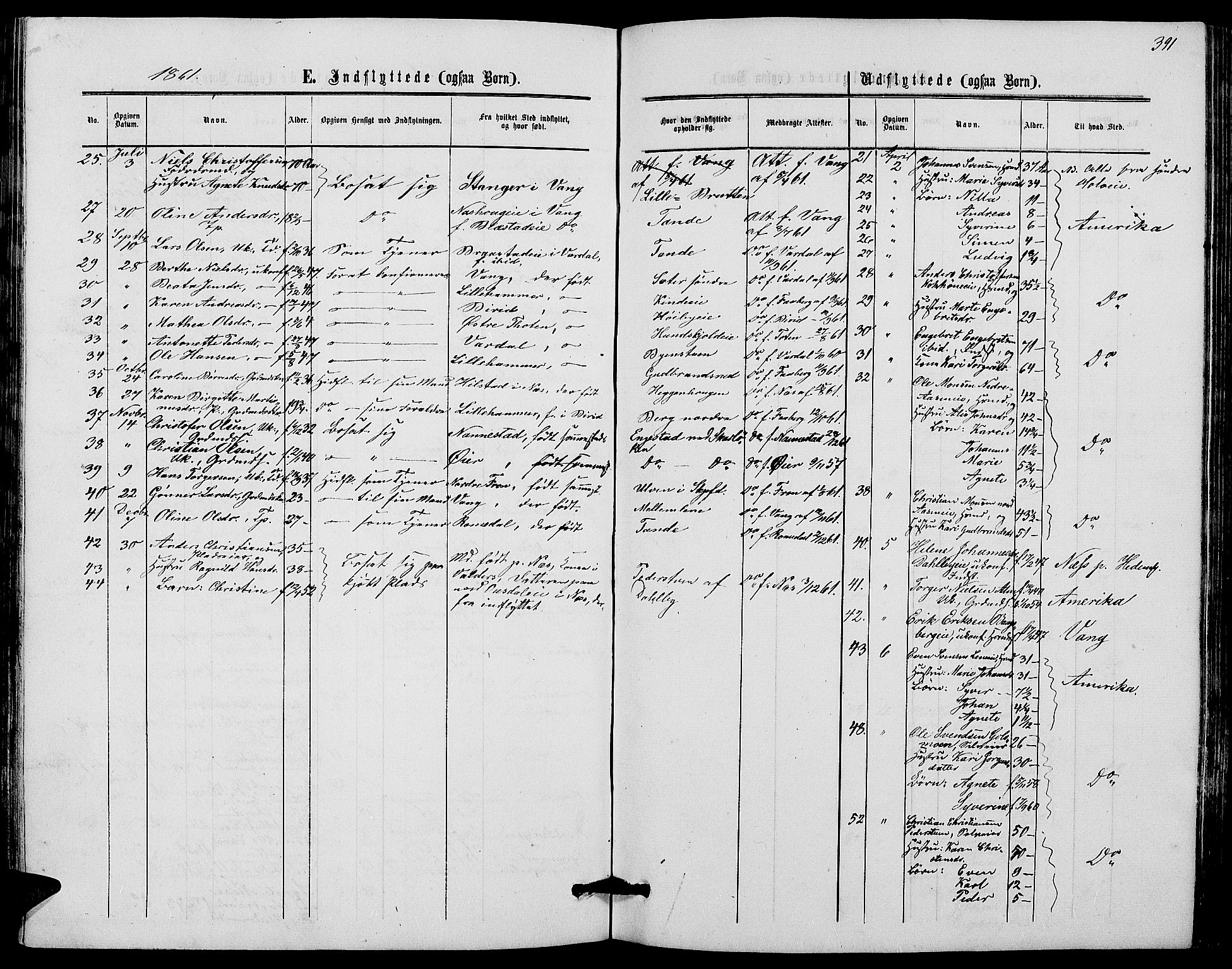 Ringsaker prestekontor, AV/SAH-PREST-014/L/La/L0007: Parish register (copy) no. 7, 1861-1869, p. 391