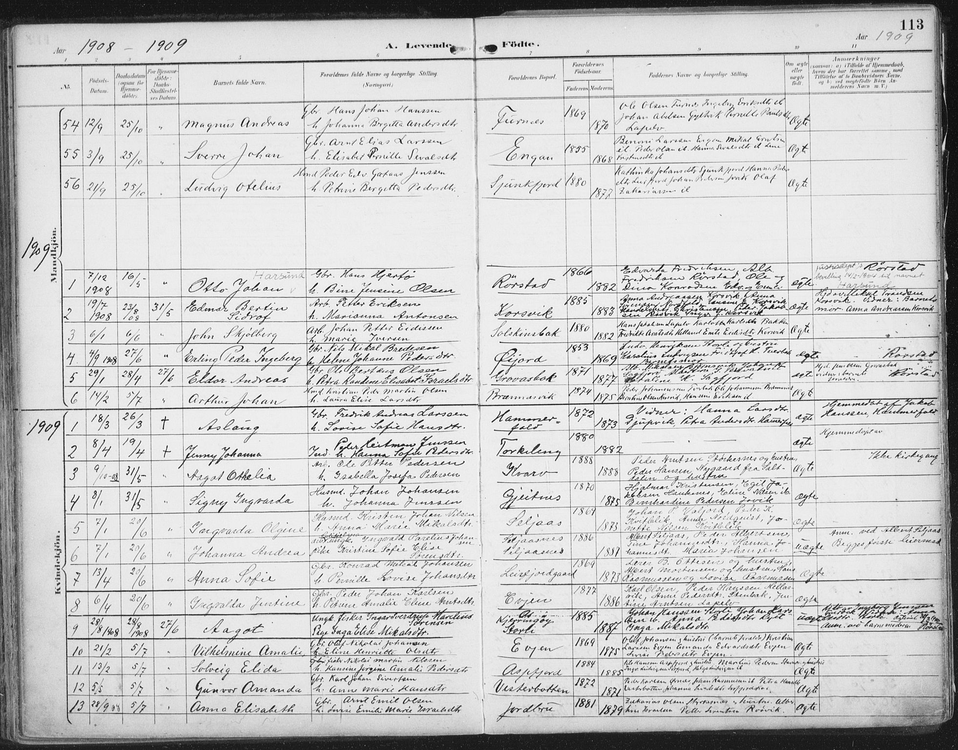 Ministerialprotokoller, klokkerbøker og fødselsregistre - Nordland, SAT/A-1459/854/L0779: Parish register (official) no. 854A02, 1892-1909, p. 113