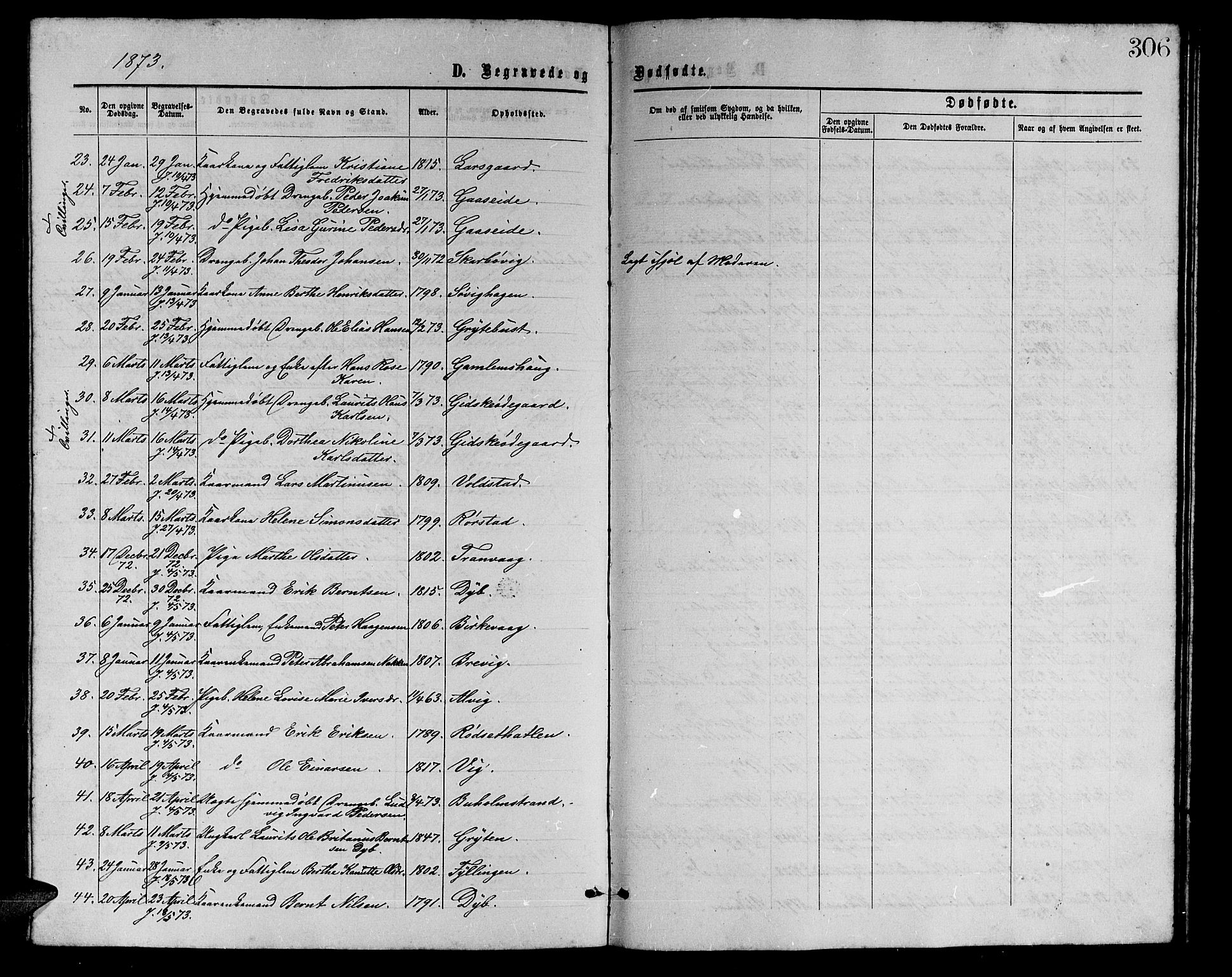 Ministerialprotokoller, klokkerbøker og fødselsregistre - Møre og Romsdal, AV/SAT-A-1454/528/L0428: Parish register (copy) no. 528C09, 1864-1880, p. 306