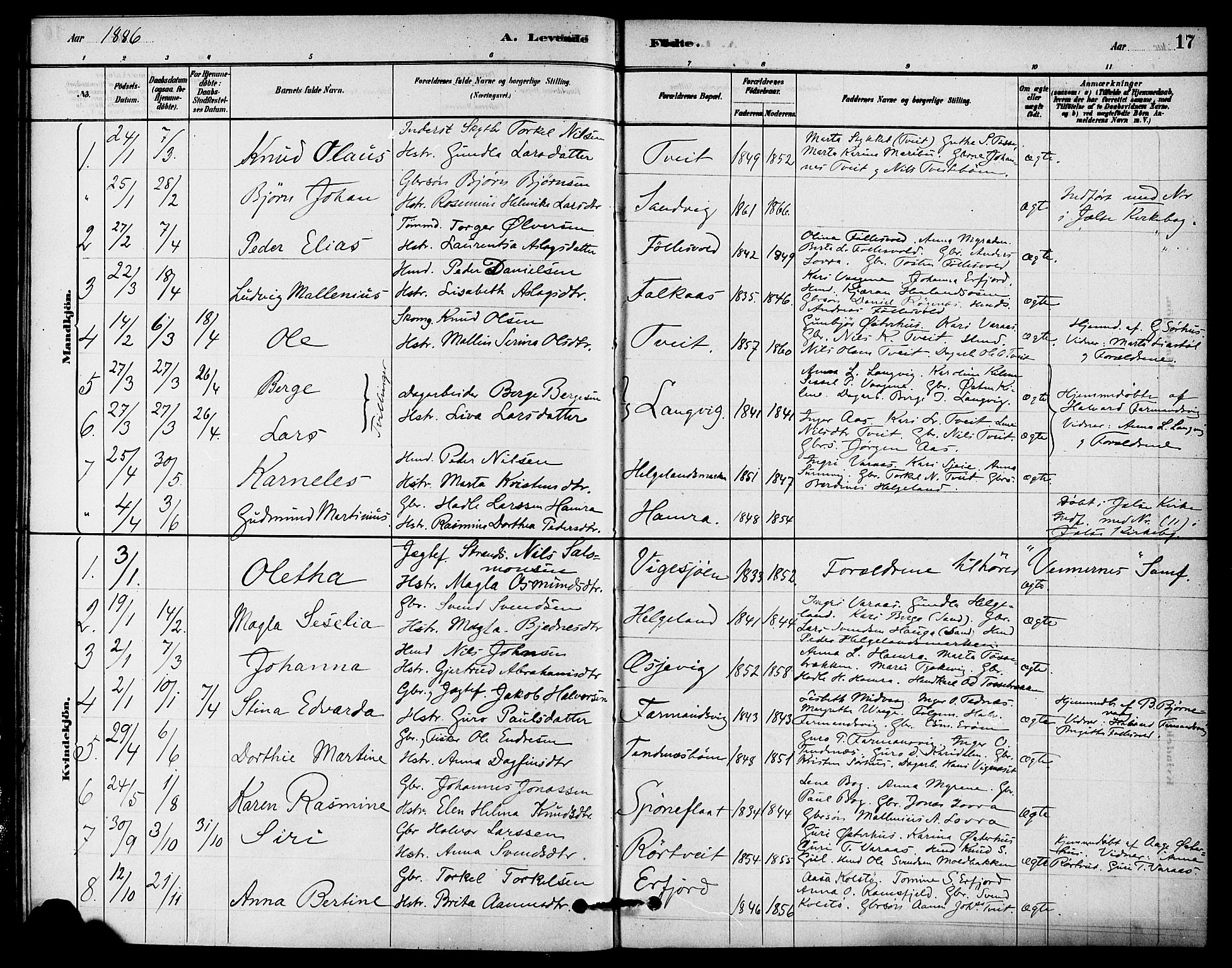 Jelsa sokneprestkontor, SAST/A-101842/01/IV: Parish register (official) no. A 9, 1878-1898, p. 17