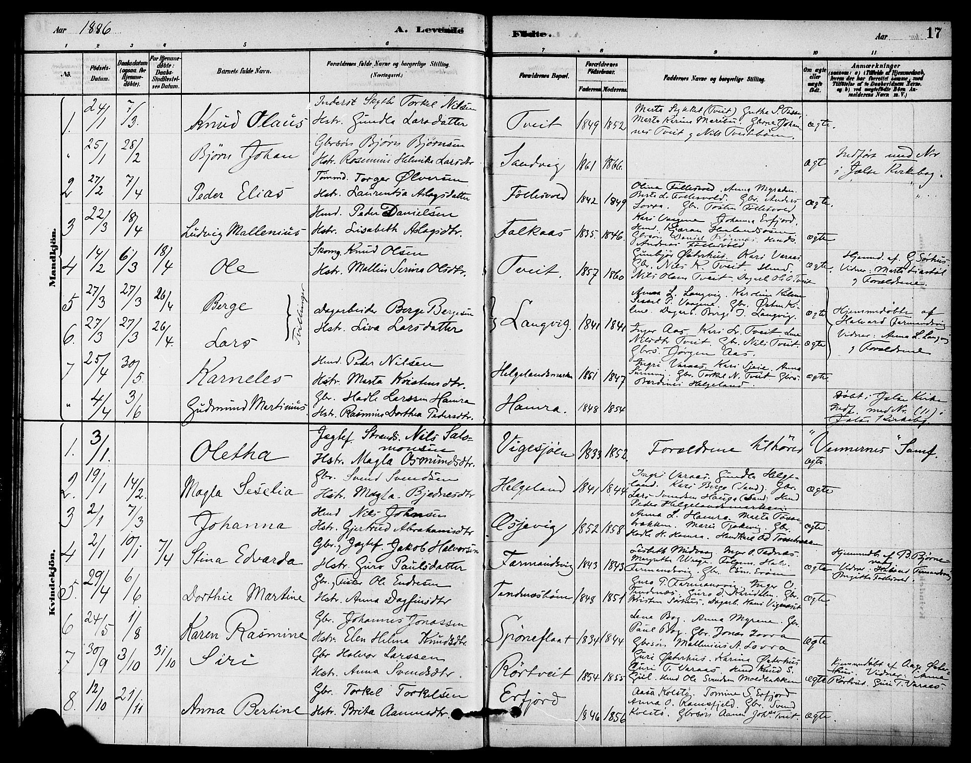 Jelsa sokneprestkontor, AV/SAST-A-101842/01/IV: Parish register (official) no. A 9, 1878-1898, p. 17