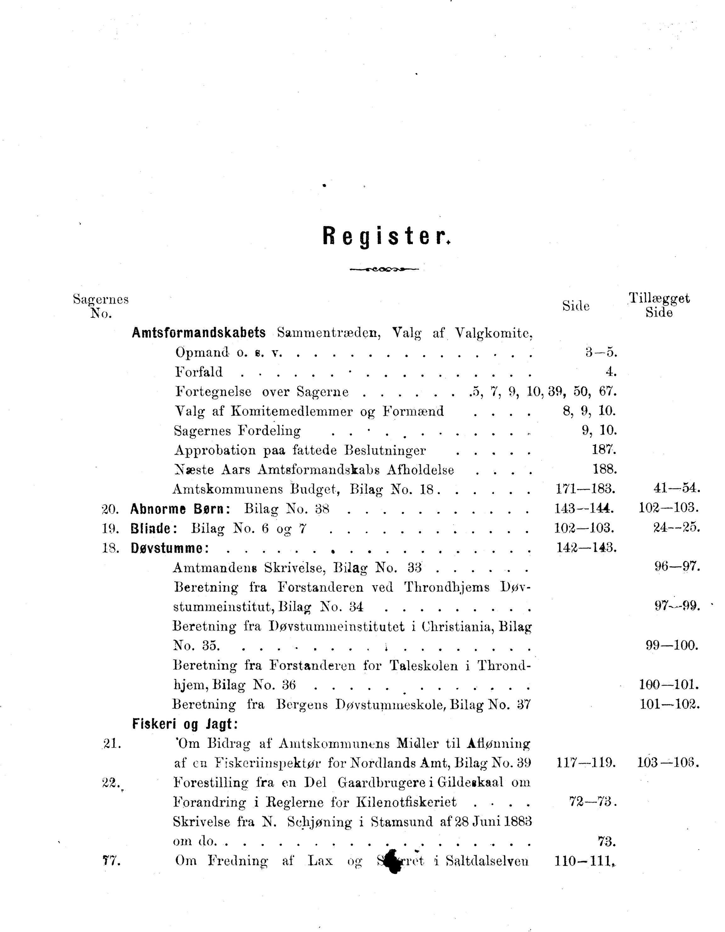 Nordland Fylkeskommune. Fylkestinget, AIN/NFK-17/176/A/Ac/L0014: Fylkestingsforhandlinger 1881-1885, 1881-1885