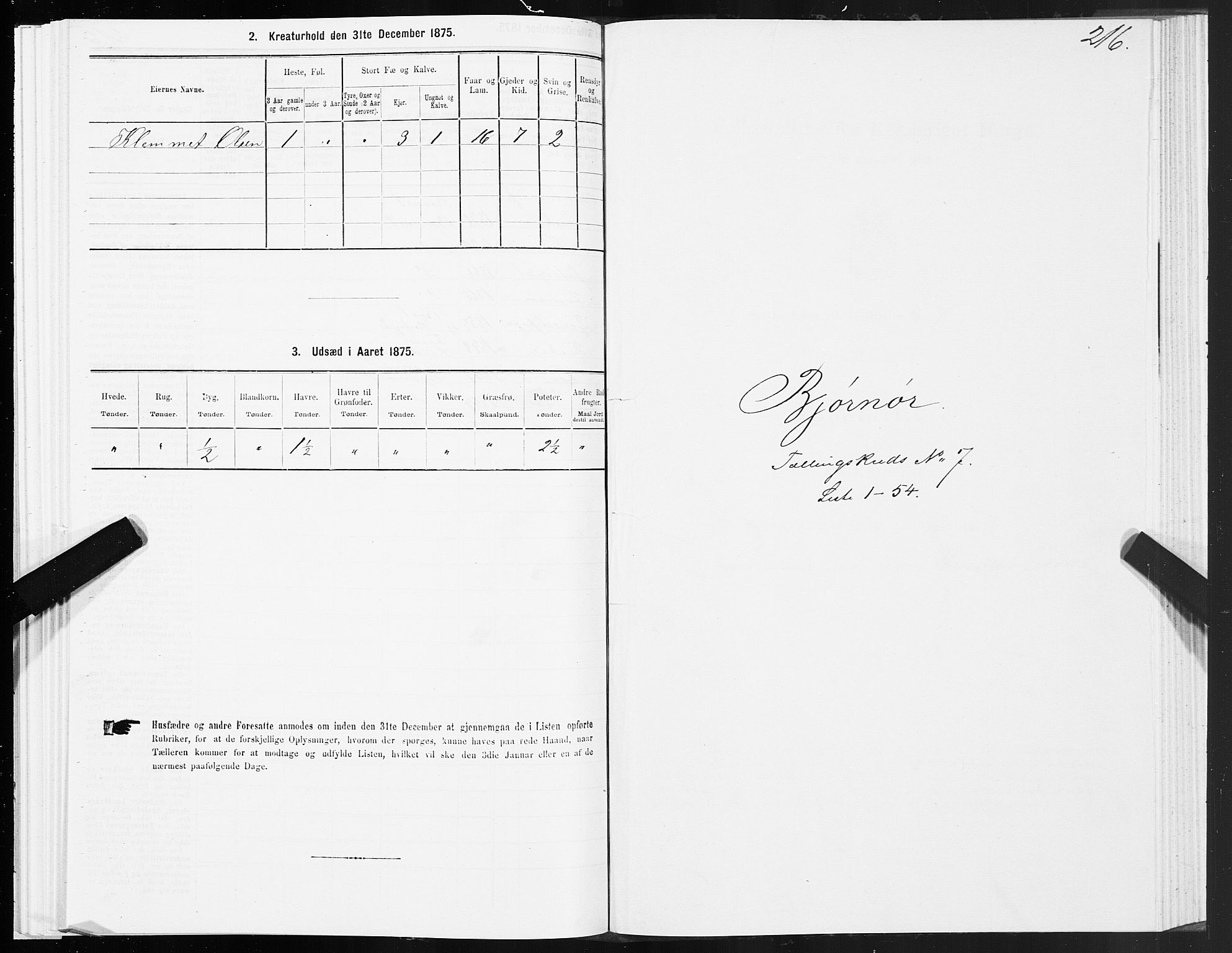 SAT, 1875 census for 1632P Bjørnør, 1875, p. 3216
