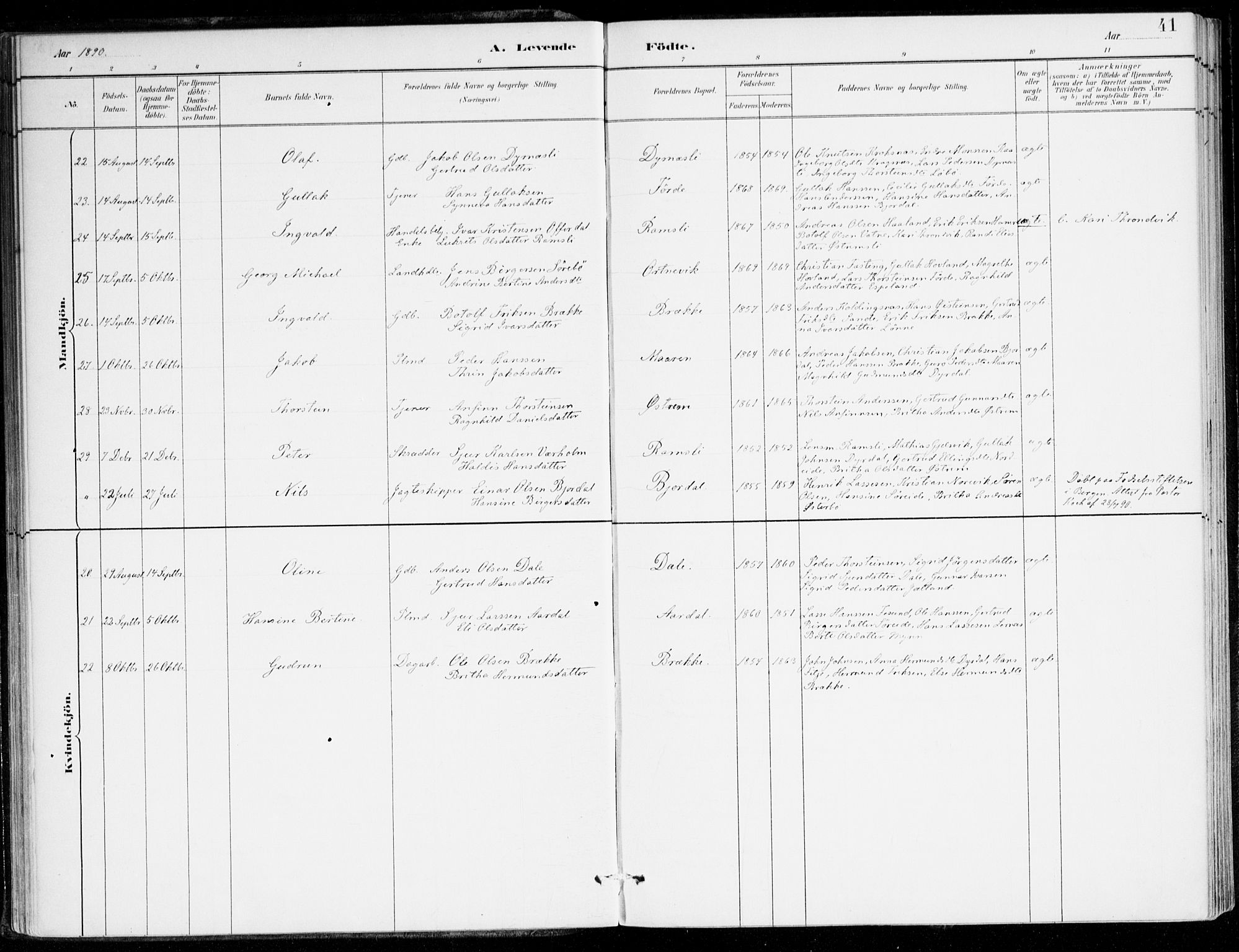 Lavik sokneprestembete, AV/SAB-A-80901: Parish register (official) no. C 1, 1882-1904, p. 41