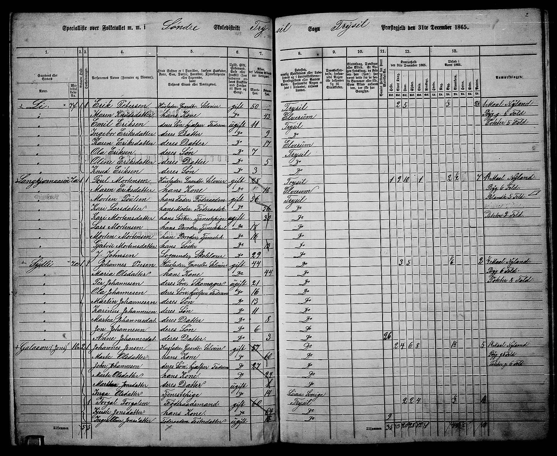 RA, 1865 census for Trysil, 1865, p. 93