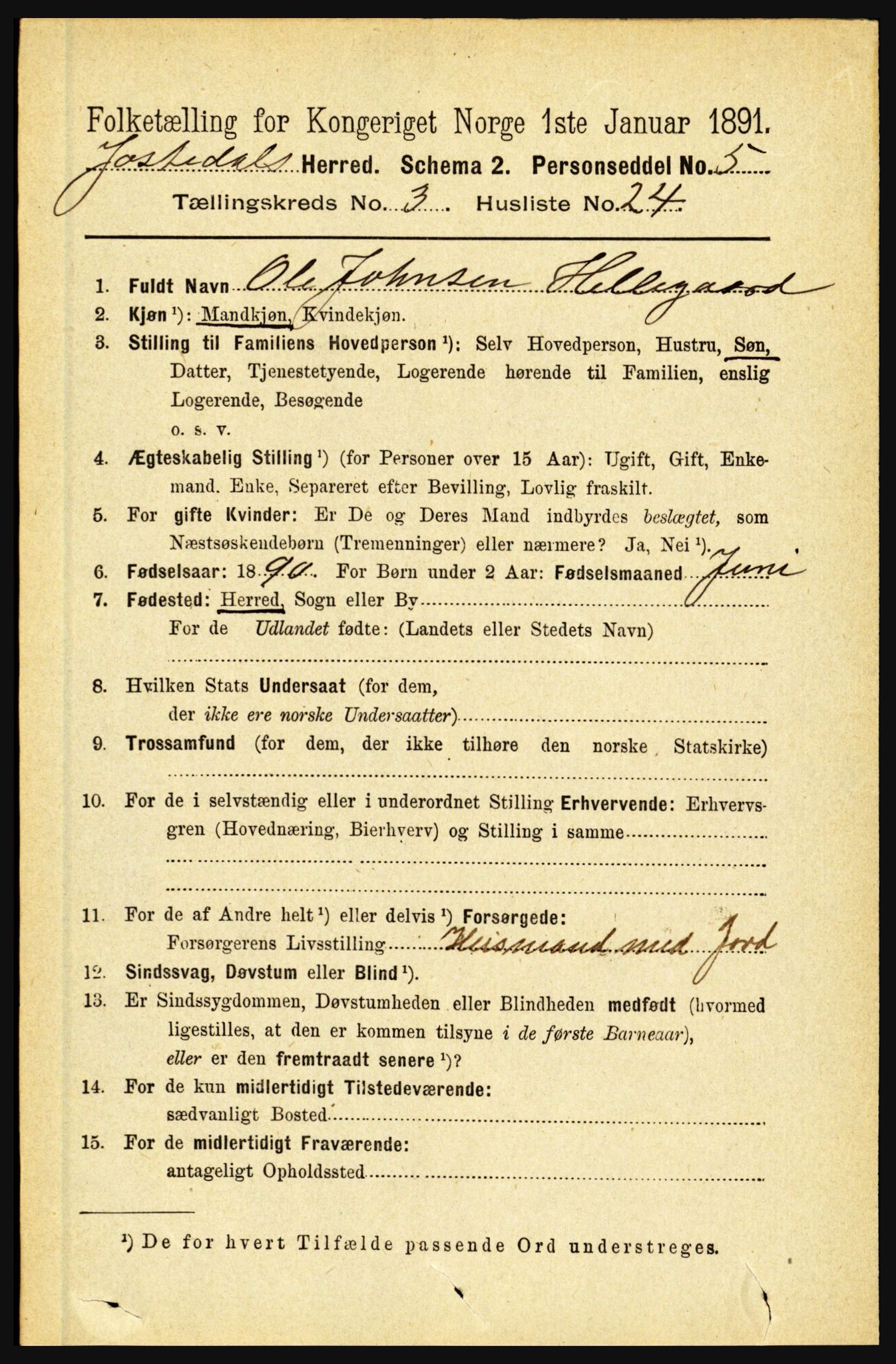 RA, 1891 census for 1427 Jostedal, 1891, p. 1062