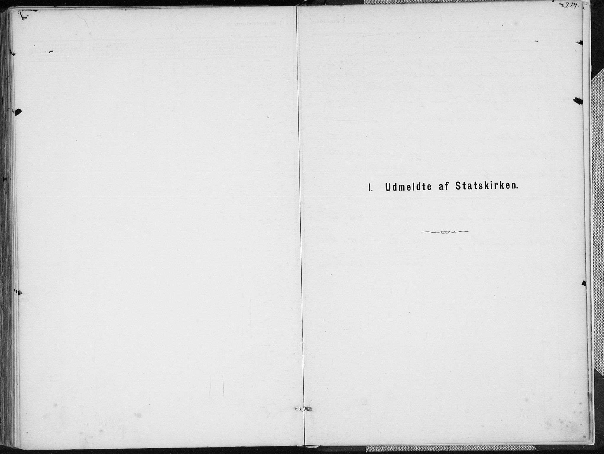 Holum sokneprestkontor, SAK/1111-0022/F/Fa/Faa/L0007: Parish register (official) no. A 7, 1884-1907, p. 224