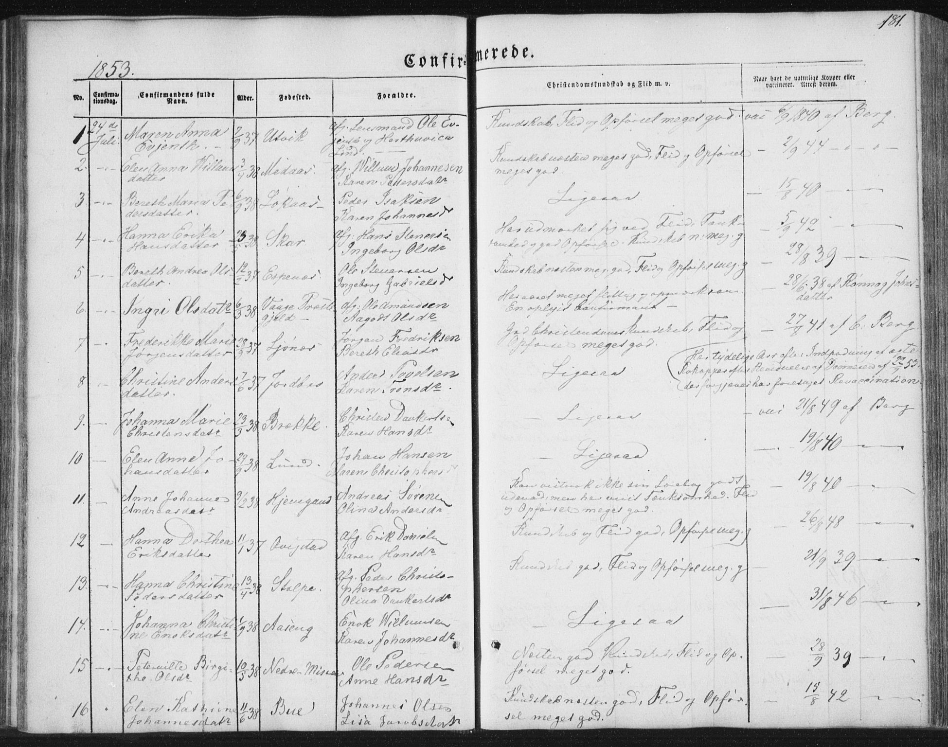 Ministerialprotokoller, klokkerbøker og fødselsregistre - Nordland, AV/SAT-A-1459/852/L0738: Parish register (official) no. 852A08, 1849-1865, p. 181