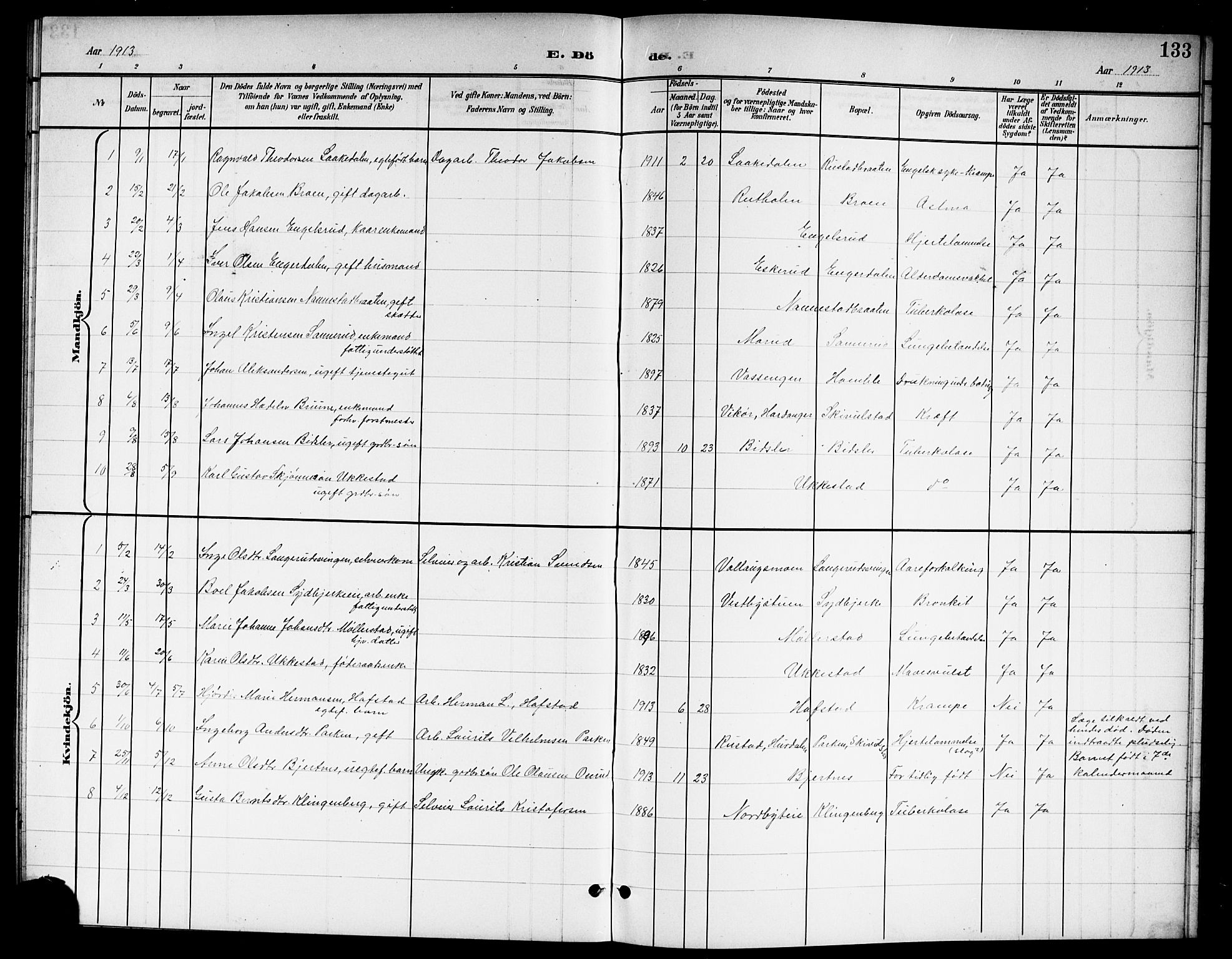 Nannestad prestekontor Kirkebøker, SAO/A-10414a/G/Ga/L0002: Parish register (copy) no. I 2, 1901-1913, p. 133