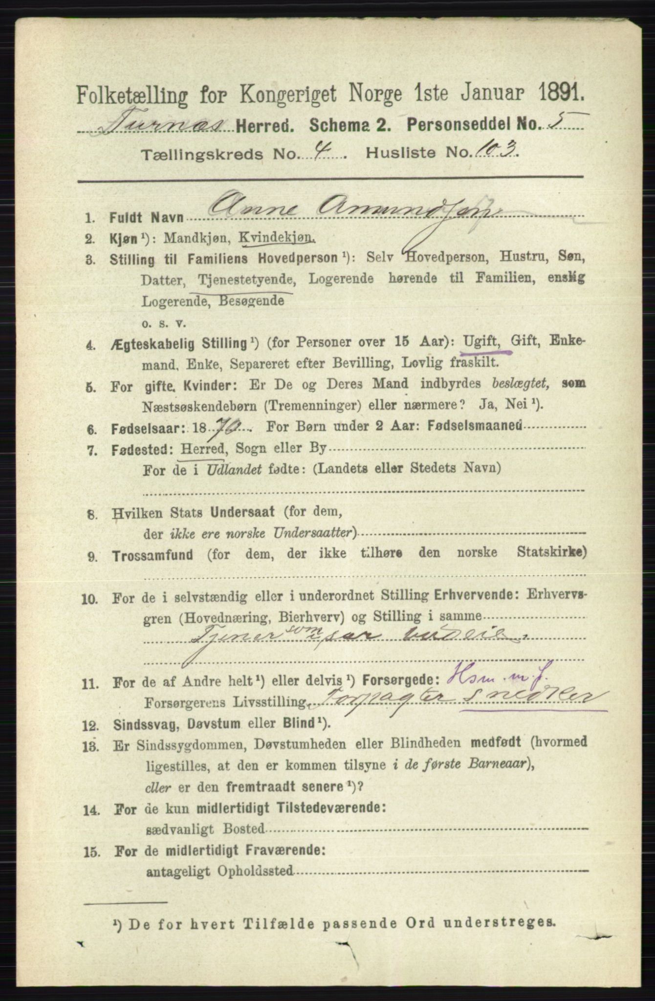 RA, Census 1891 for 0413 Furnes herred, 1891, p. 2995