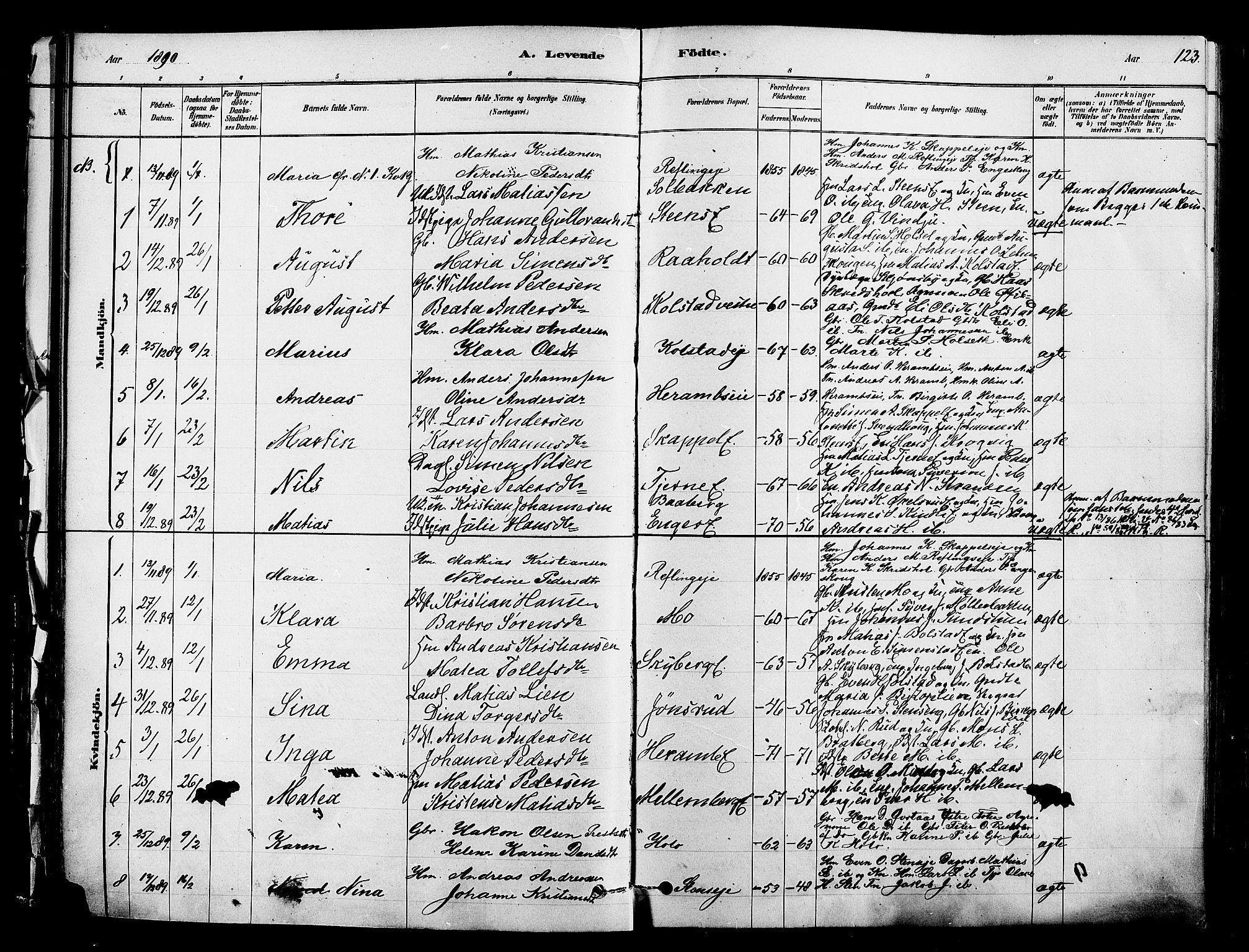 Ringsaker prestekontor, SAH/PREST-014/K/Ka/L0012: Parish register (official) no. 12, 1879-1890, p. 123