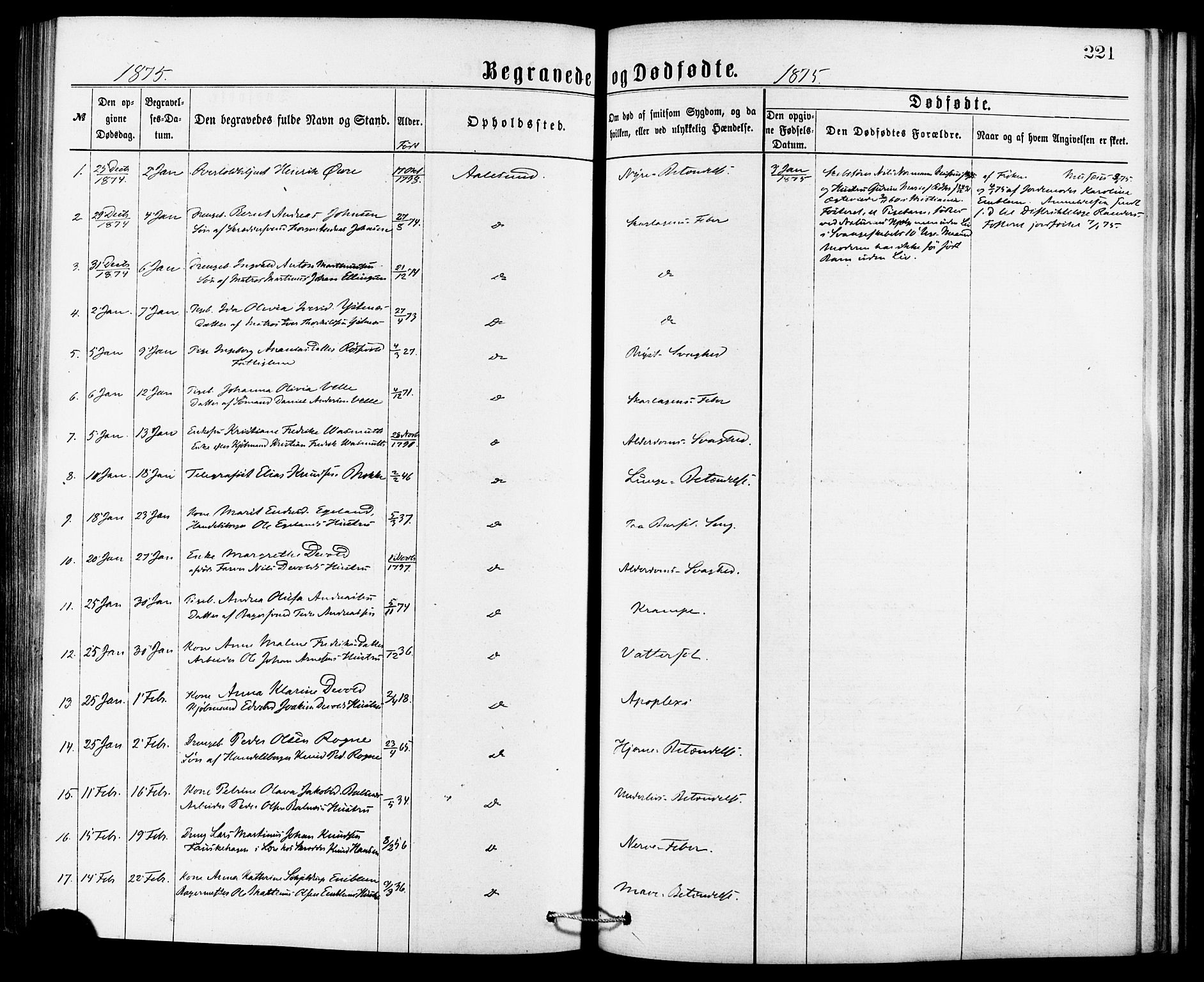 Ministerialprotokoller, klokkerbøker og fødselsregistre - Møre og Romsdal, AV/SAT-A-1454/529/L0453: Parish register (official) no. 529A03, 1872-1877, p. 221