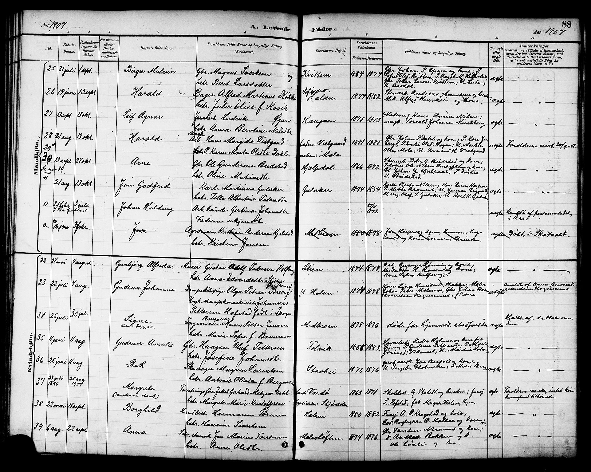 Ministerialprotokoller, klokkerbøker og fødselsregistre - Nord-Trøndelag, AV/SAT-A-1458/709/L0087: Parish register (copy) no. 709C01, 1892-1913, p. 88