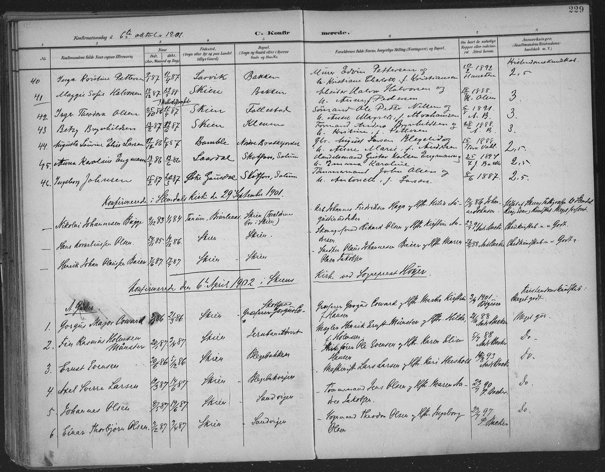 Skien kirkebøker, SAKO/A-302/F/Fa/L0011: Parish register (official) no. 11, 1900-1907, p. 229
