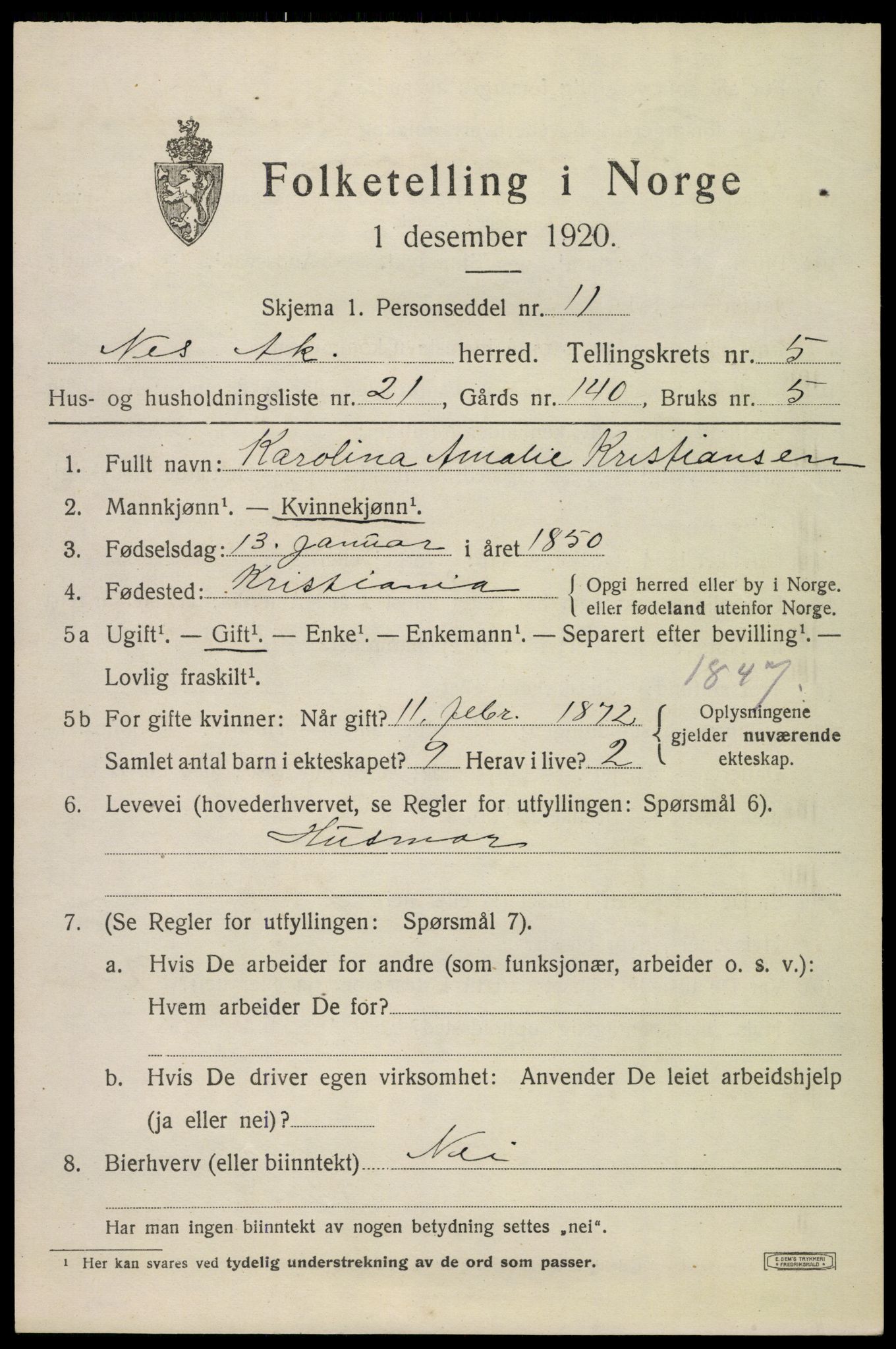 SAO, 1920 census for Nes, 1920, p. 6696