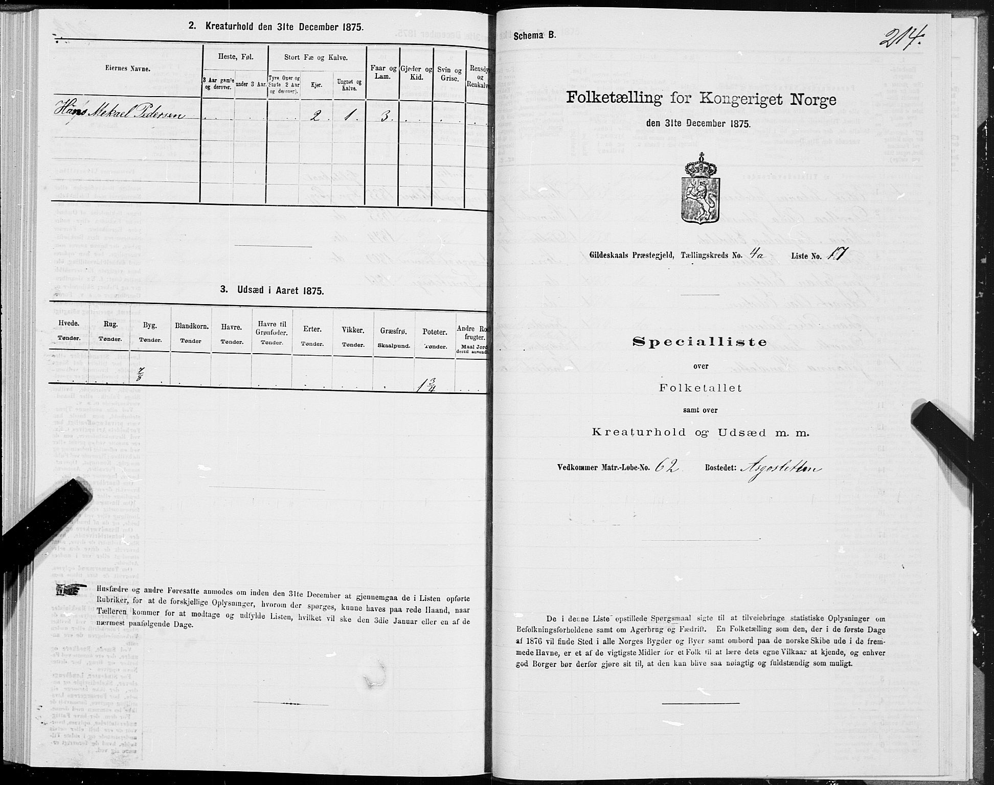 SAT, 1875 census for 1838P Gildeskål, 1875, p. 2214