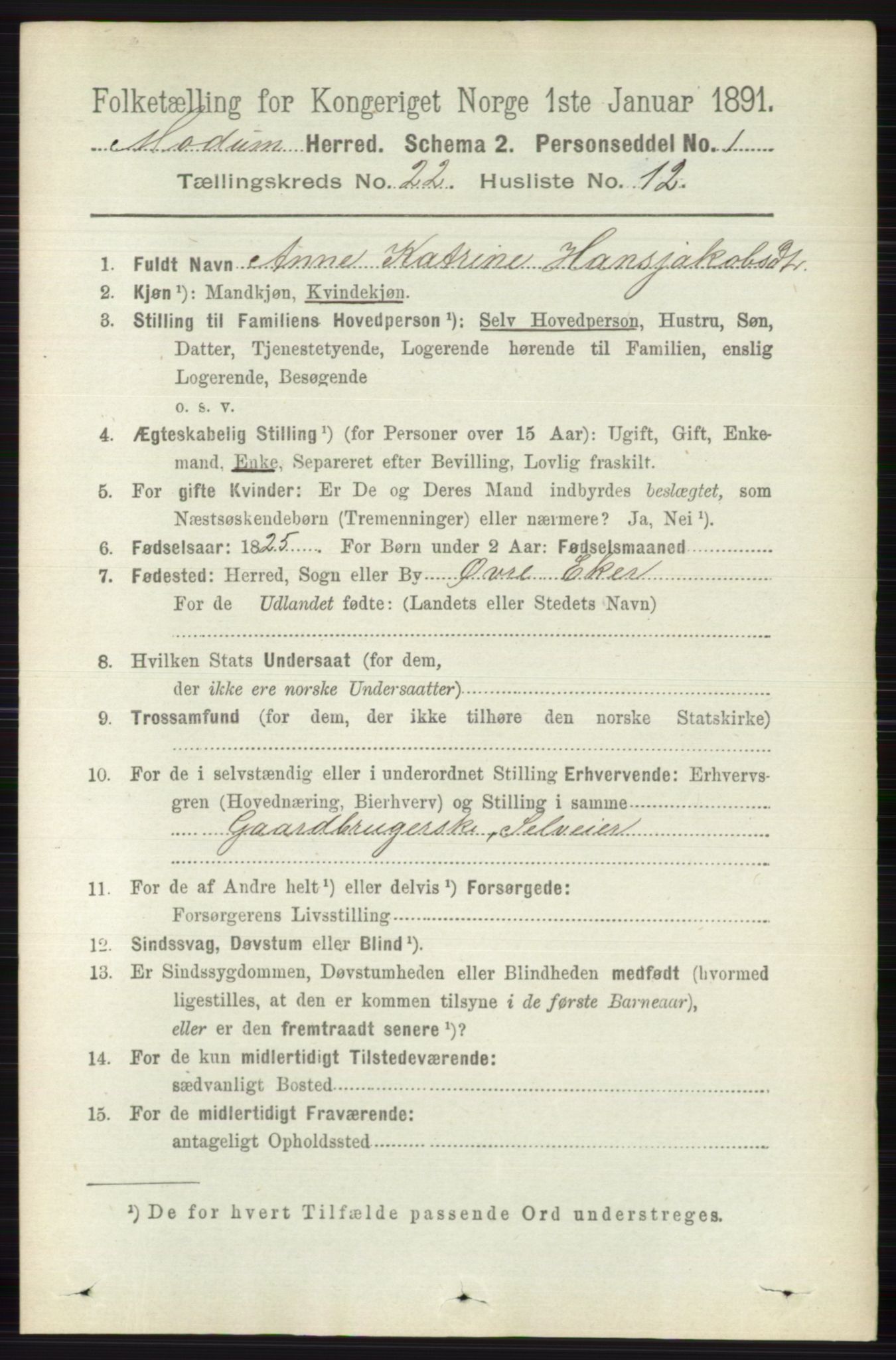 RA, 1891 census for 0623 Modum, 1891, p. 8446