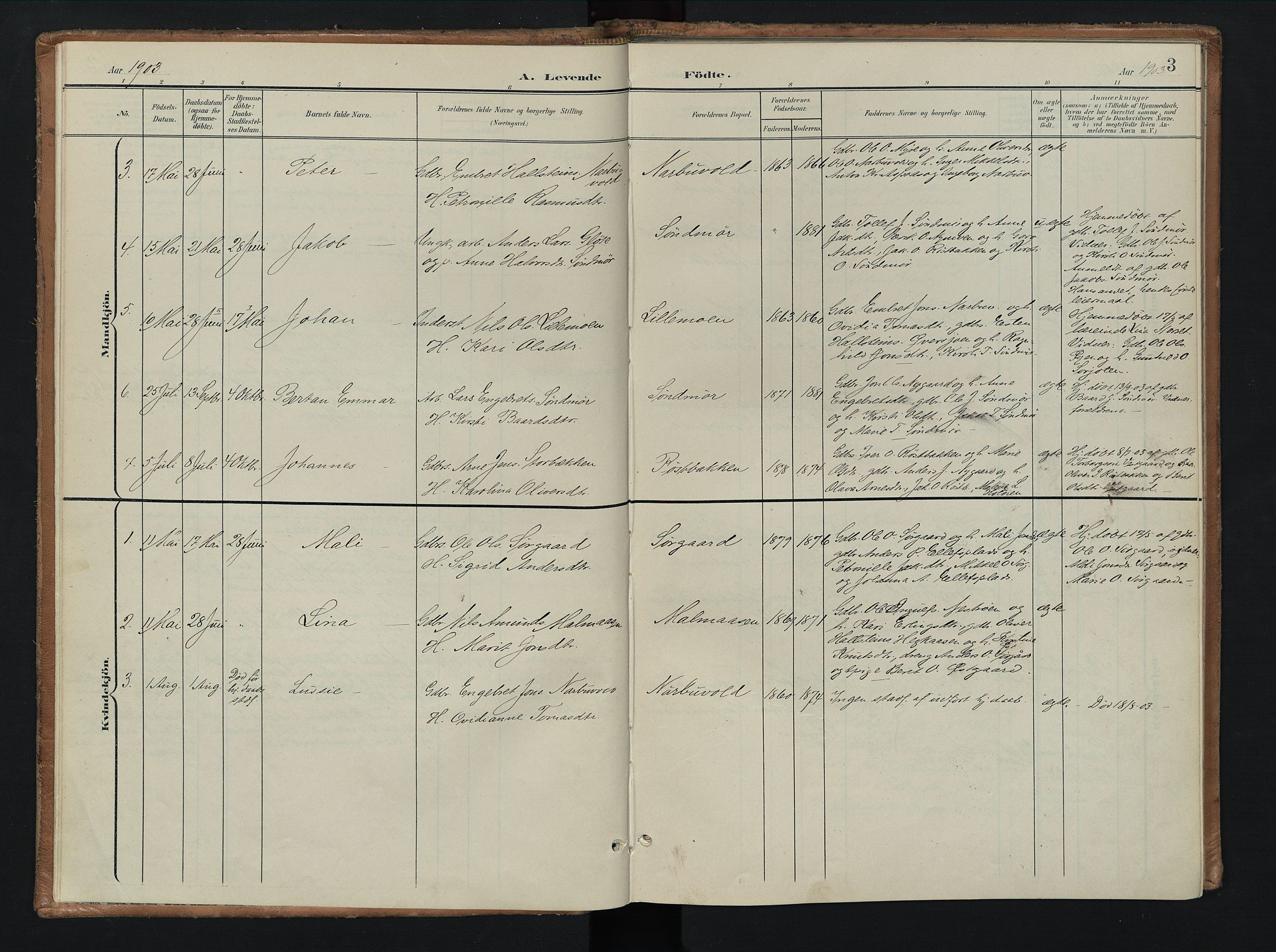 Tolga prestekontor, SAH/PREST-062/K/L0010: Parish register (official) no. 10, 1901-1915, p. 3