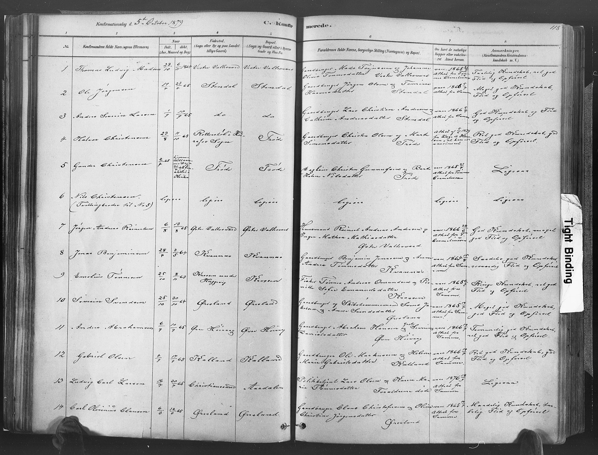 Høvåg sokneprestkontor, AV/SAK-1111-0025/F/Fa/L0005: Parish register (official) no. A 5, 1878-1893, p. 118