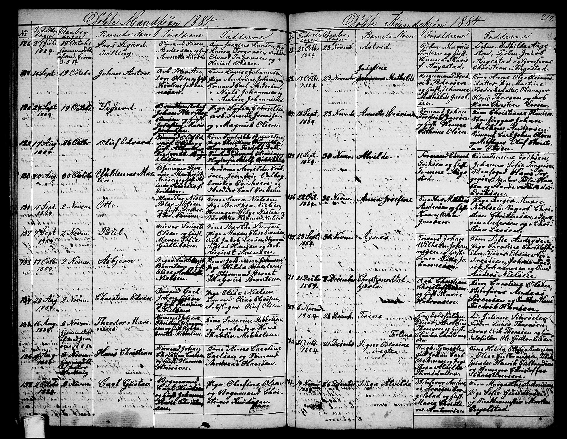 Larvik kirkebøker, AV/SAKO-A-352/G/Ga/L0004: Parish register (copy) no. I 4, 1871-1888, p. 217