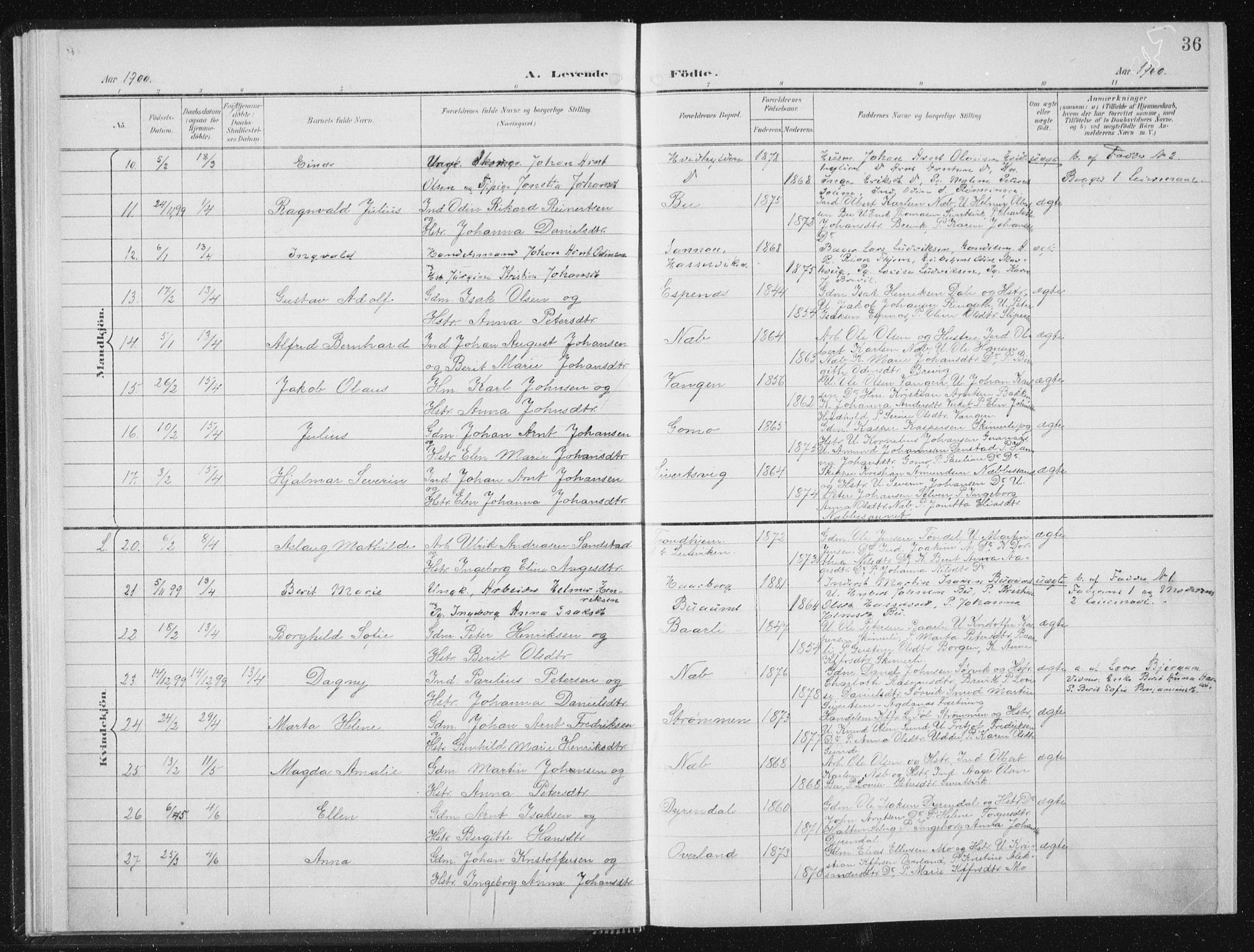 Ministerialprotokoller, klokkerbøker og fødselsregistre - Sør-Trøndelag, AV/SAT-A-1456/647/L0635: Parish register (official) no. 647A02, 1896-1911, p. 36