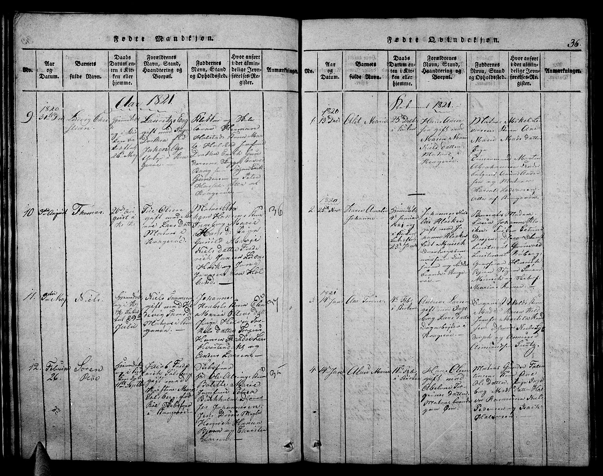Kragerø kirkebøker, SAKO/A-278/F/Fa/L0004: Parish register (official) no. 4, 1814-1831, p. 36