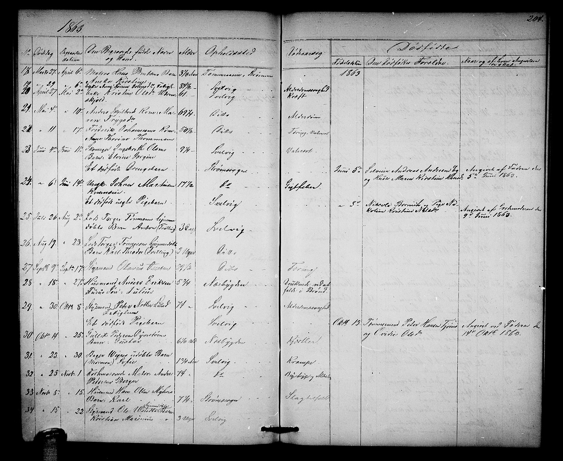 Strømm kirkebøker, AV/SAKO-A-322/G/Ga/L0001: Parish register (copy) no. I 1, 1861-1885, p. 204