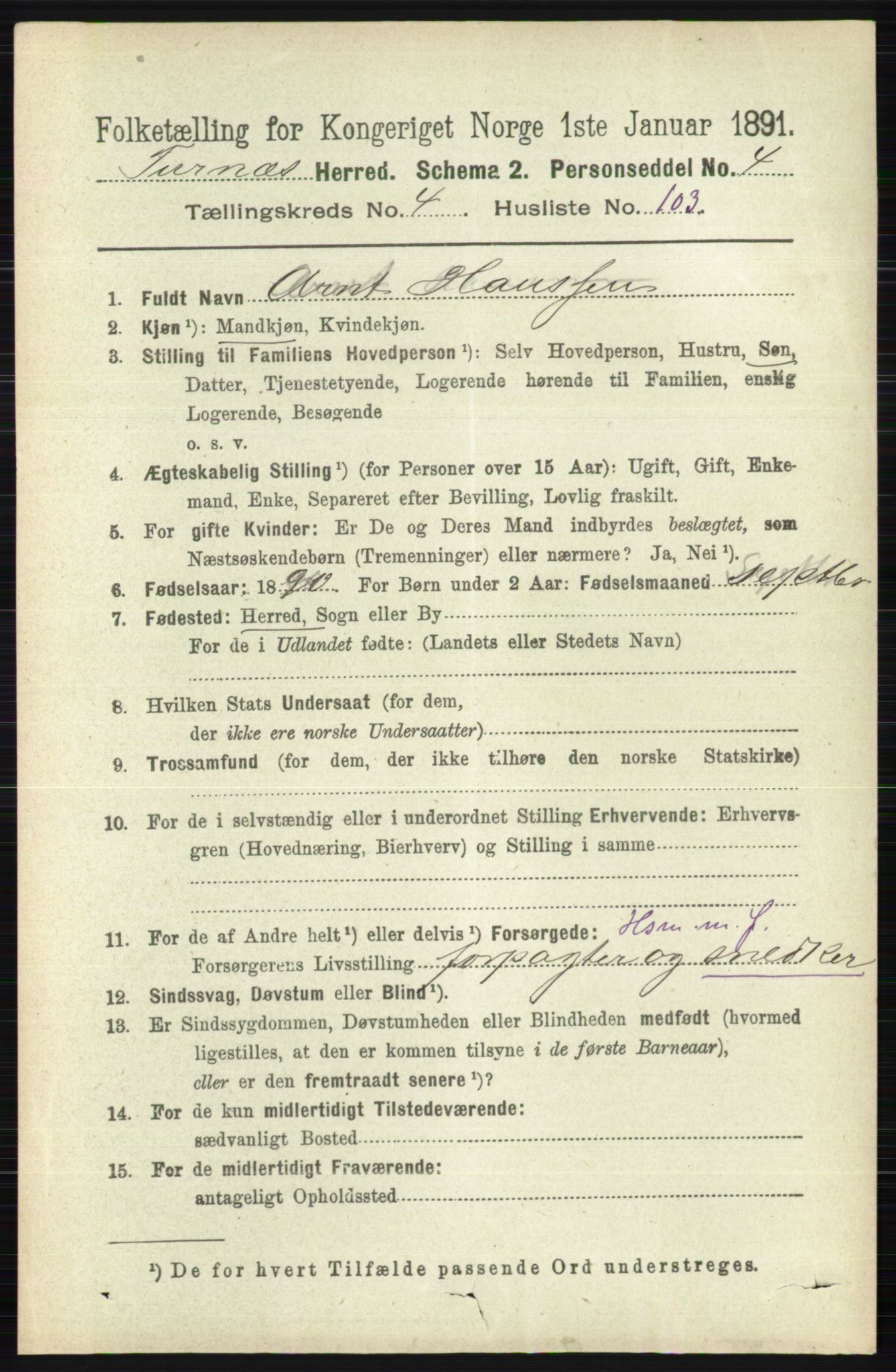 RA, Census 1891 for 0413 Furnes herred, 1891, p. 2994