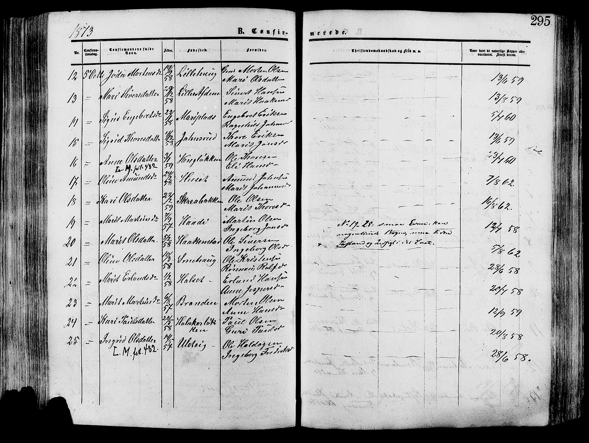 Lesja prestekontor, AV/SAH-PREST-068/H/Ha/Haa/L0008: Parish register (official) no. 8, 1854-1880, p. 295