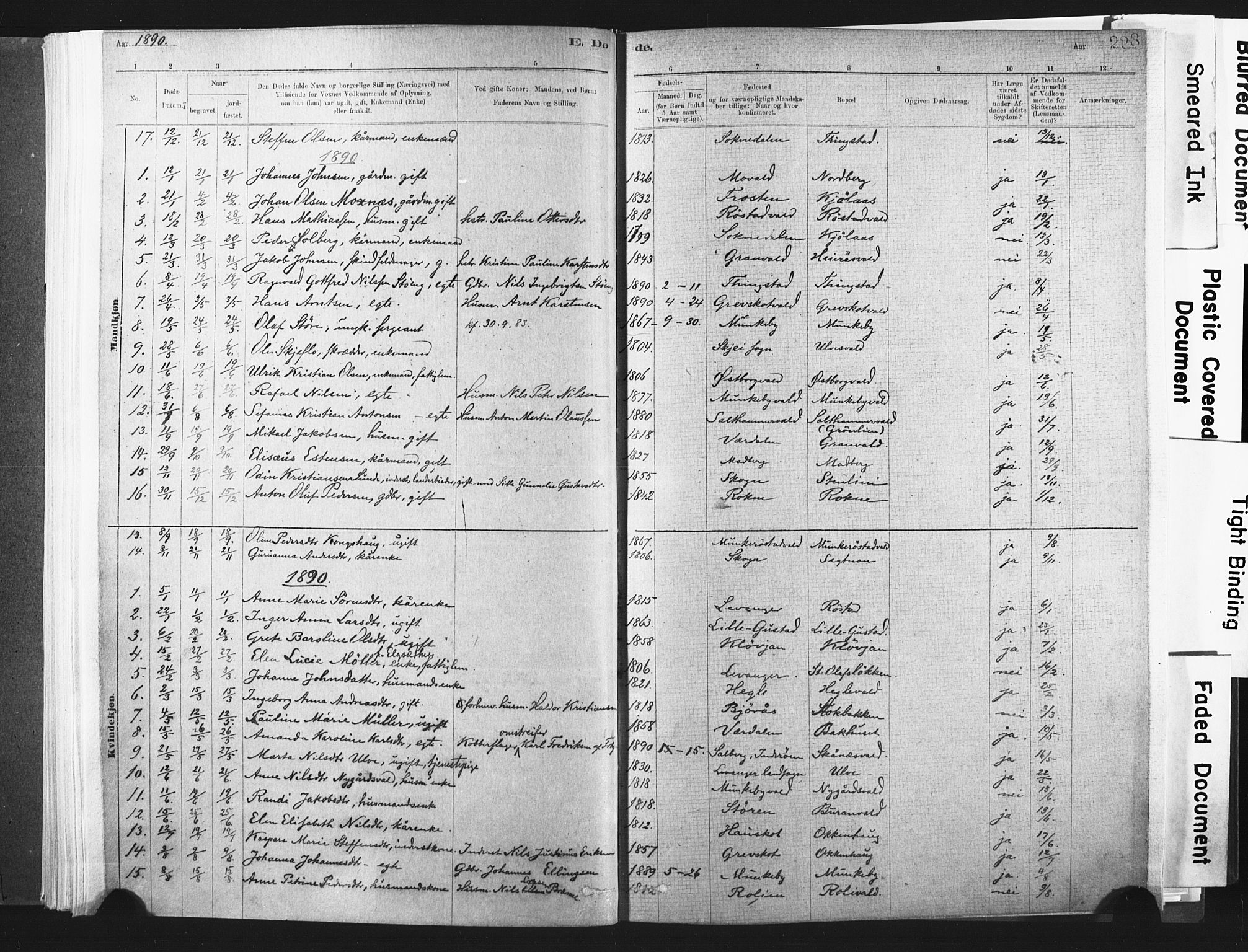 Ministerialprotokoller, klokkerbøker og fødselsregistre - Nord-Trøndelag, SAT/A-1458/721/L0207: Parish register (official) no. 721A02, 1880-1911, p. 228