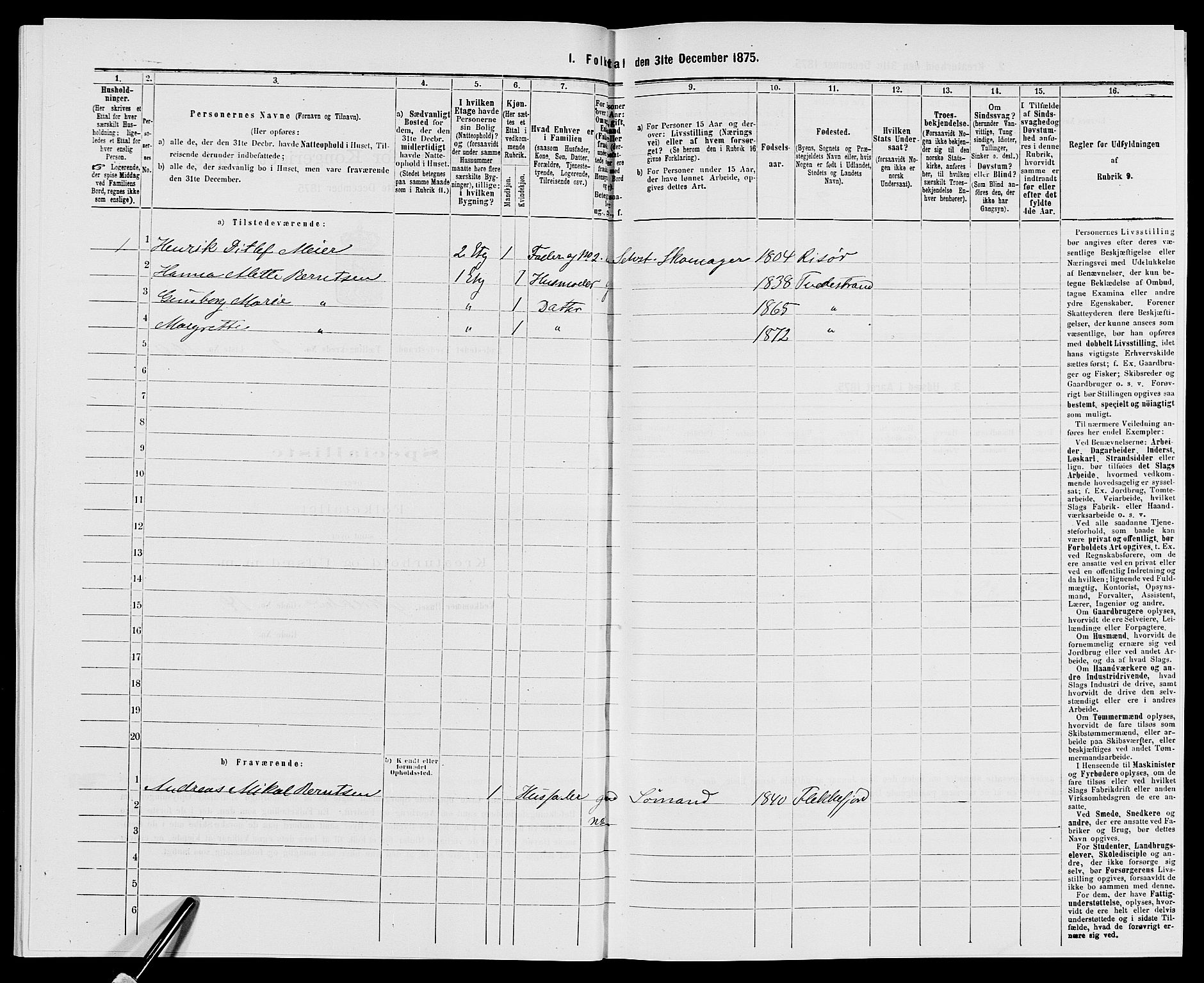 SAK, 1875 census for 0902B Holt/Tvedestrand, 1875, p. 217