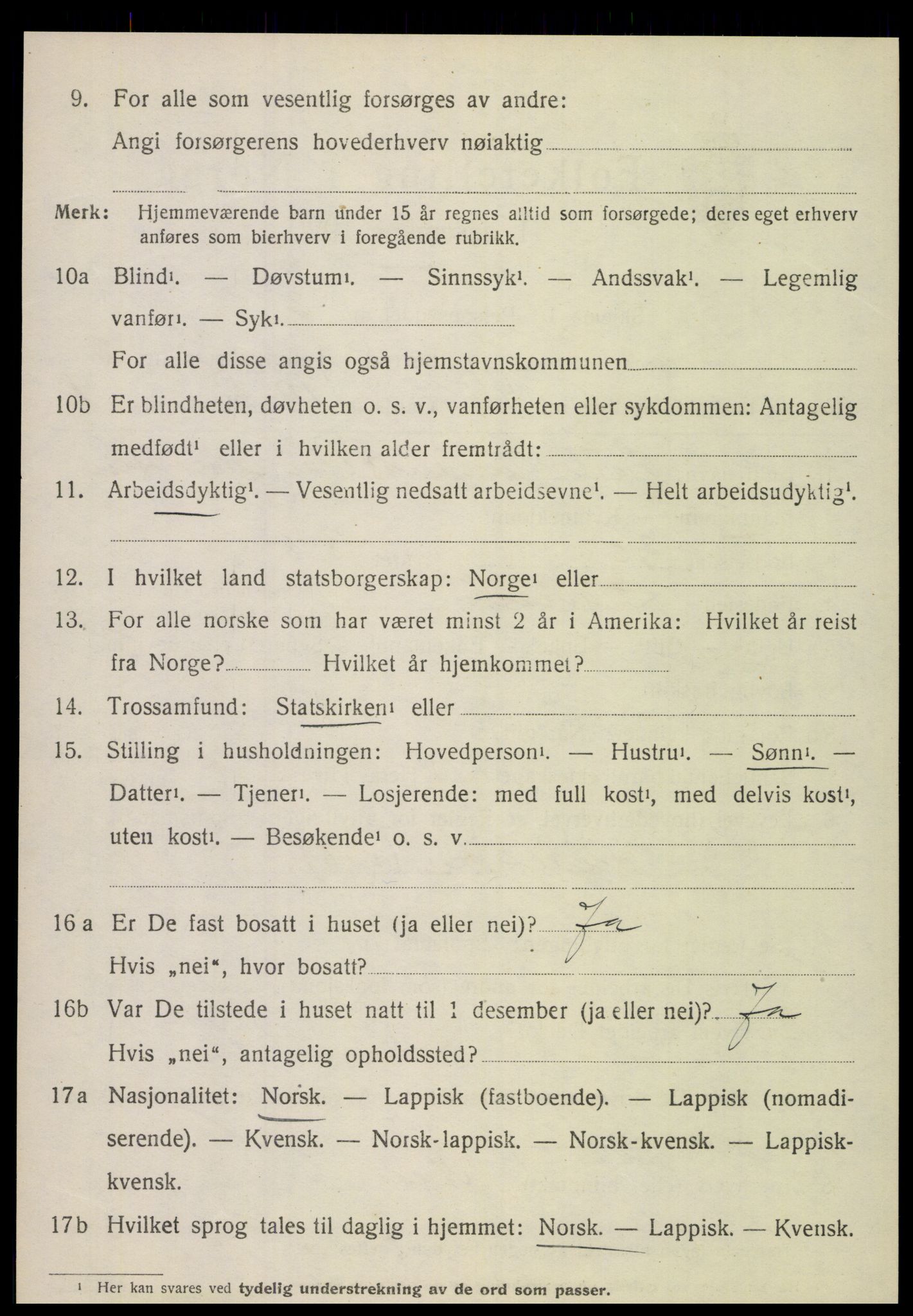 SAT, 1920 census for Hamarøy, 1920, p. 2021