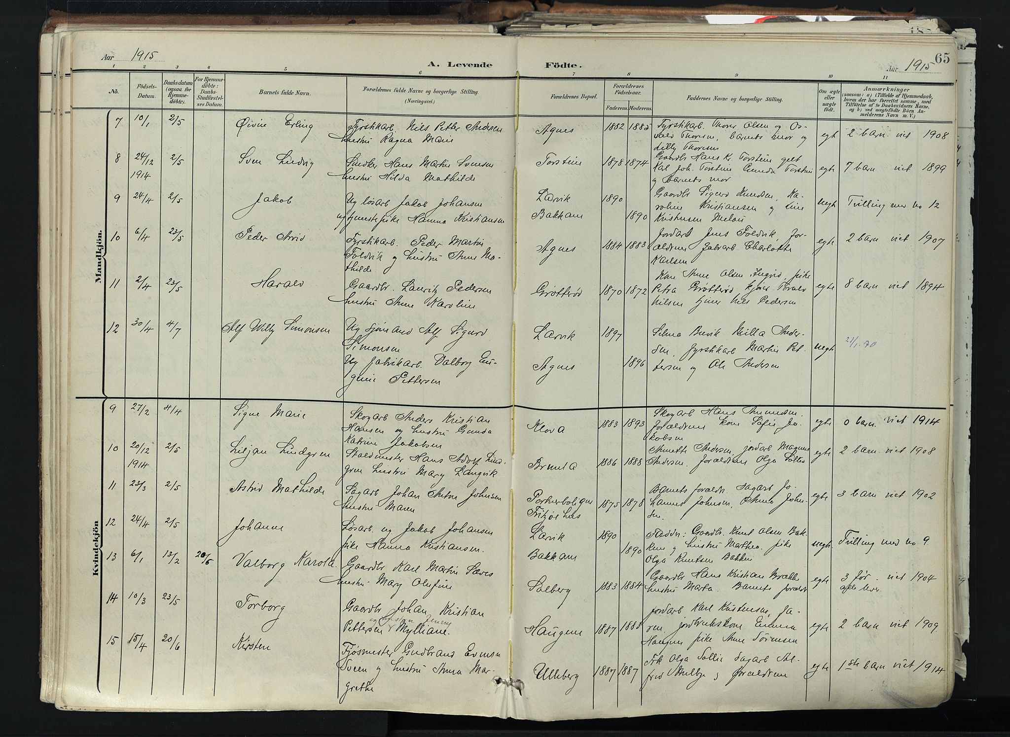 Brunlanes kirkebøker, SAKO/A-342/F/Fc/L0003: Parish register (official) no. III 3, 1900-1922, p. 65