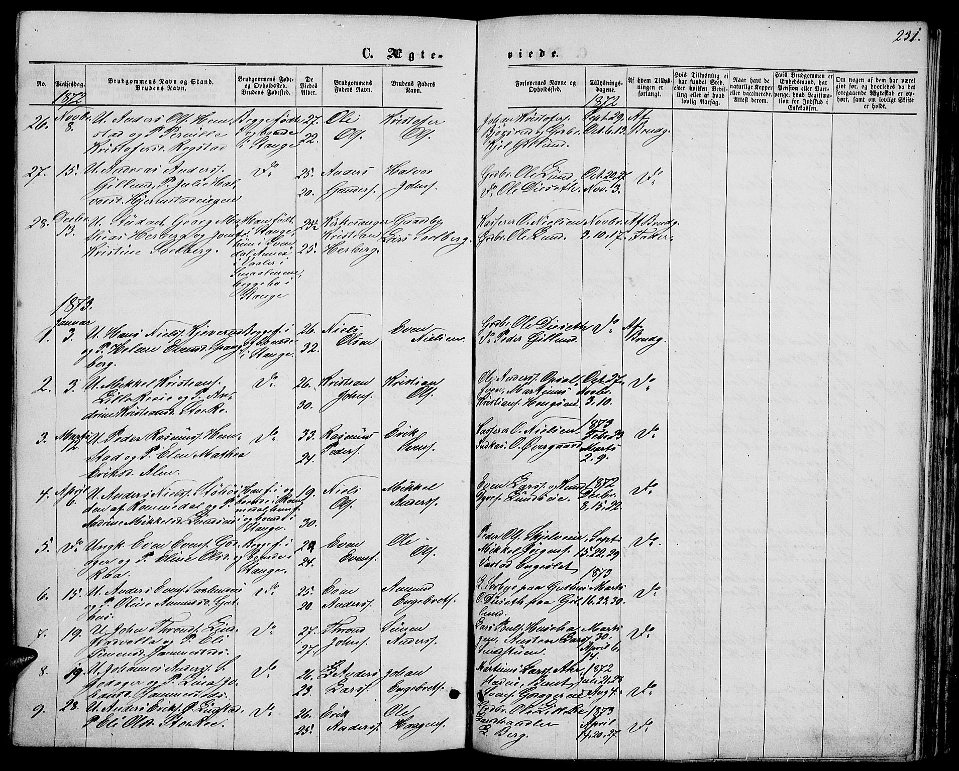 Stange prestekontor, SAH/PREST-002/L/L0006: Parish register (copy) no. 6, 1864-1882, p. 231