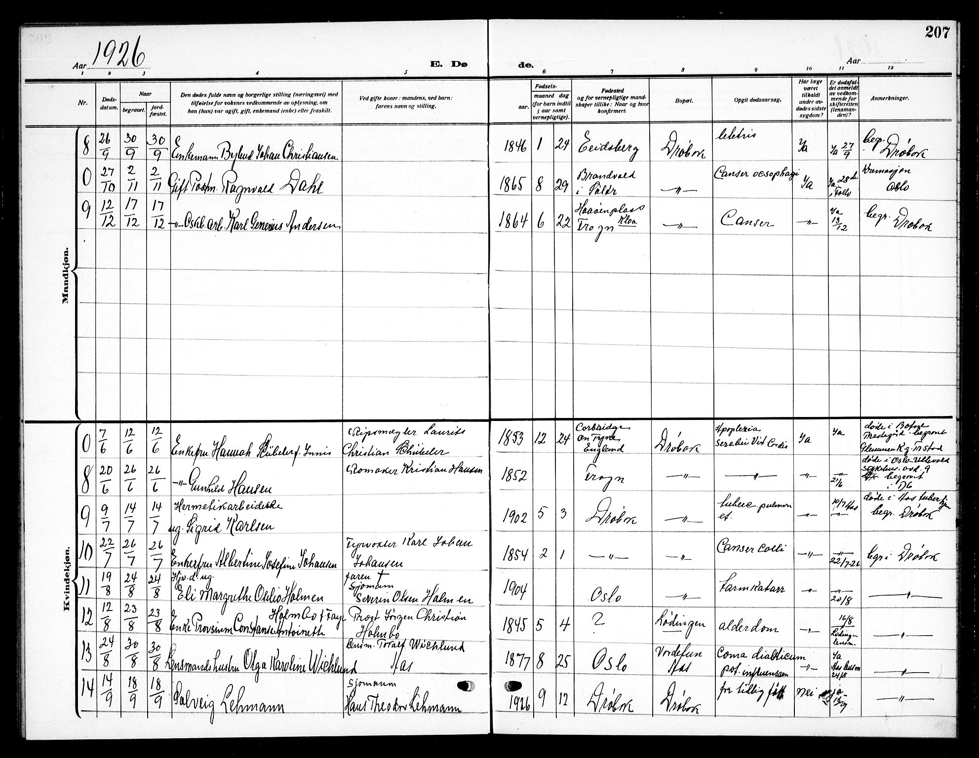 Drøbak prestekontor Kirkebøker, AV/SAO-A-10142a/G/Ga/L0002: Parish register (copy) no. I 2, 1917-1932, p. 207