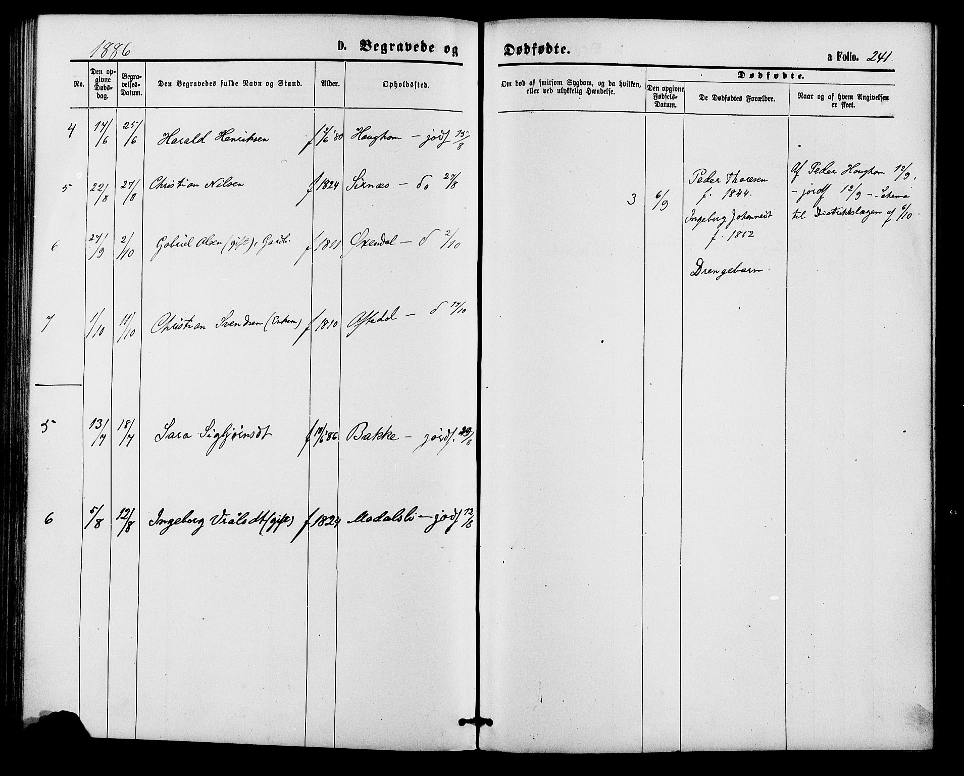 Bakke sokneprestkontor, AV/SAK-1111-0002/F/Fa/Faa/L0007: Parish register (official) no. A 7, 1877-1886, p. 241