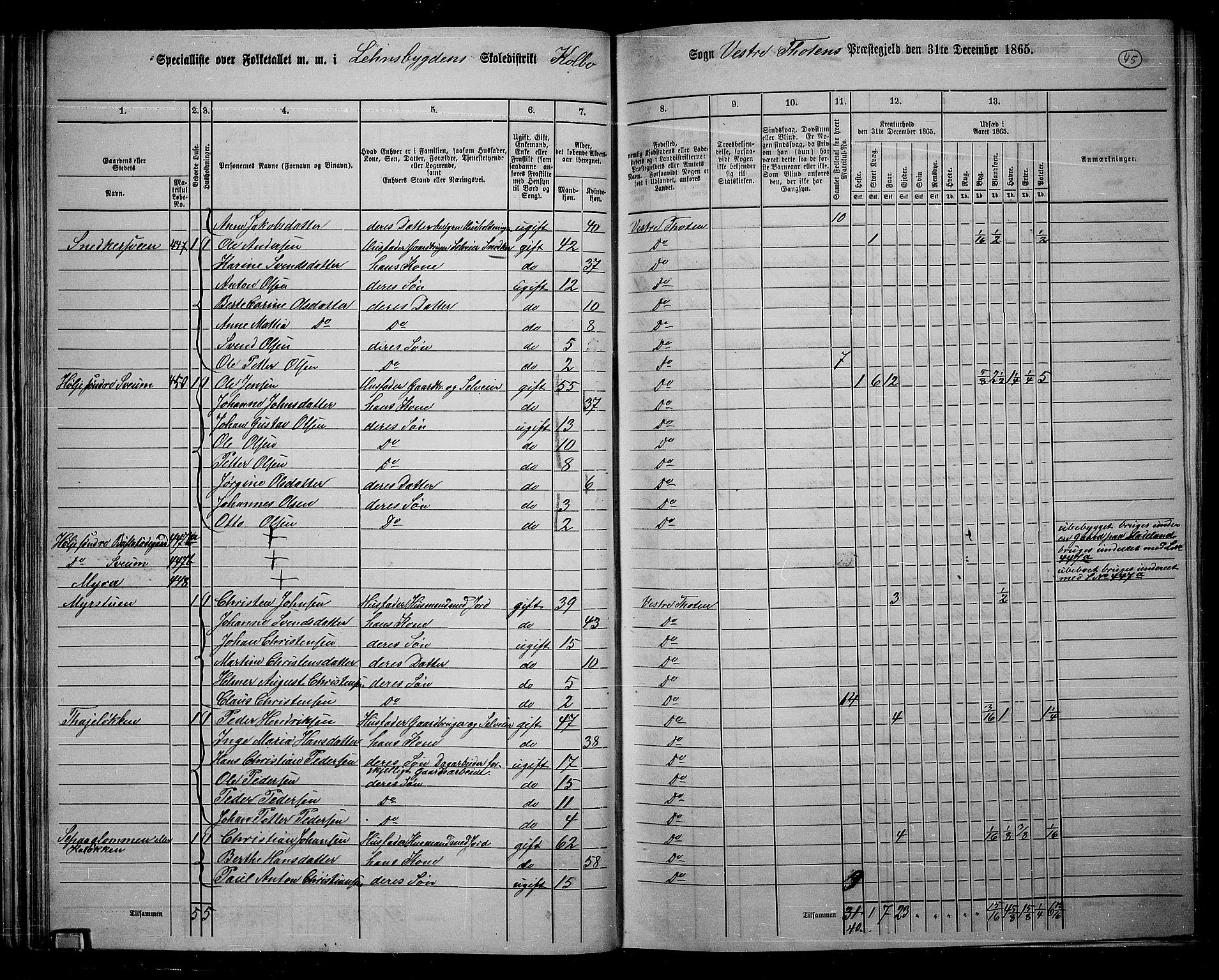 RA, 1865 census for Vestre Toten, 1865, p. 207