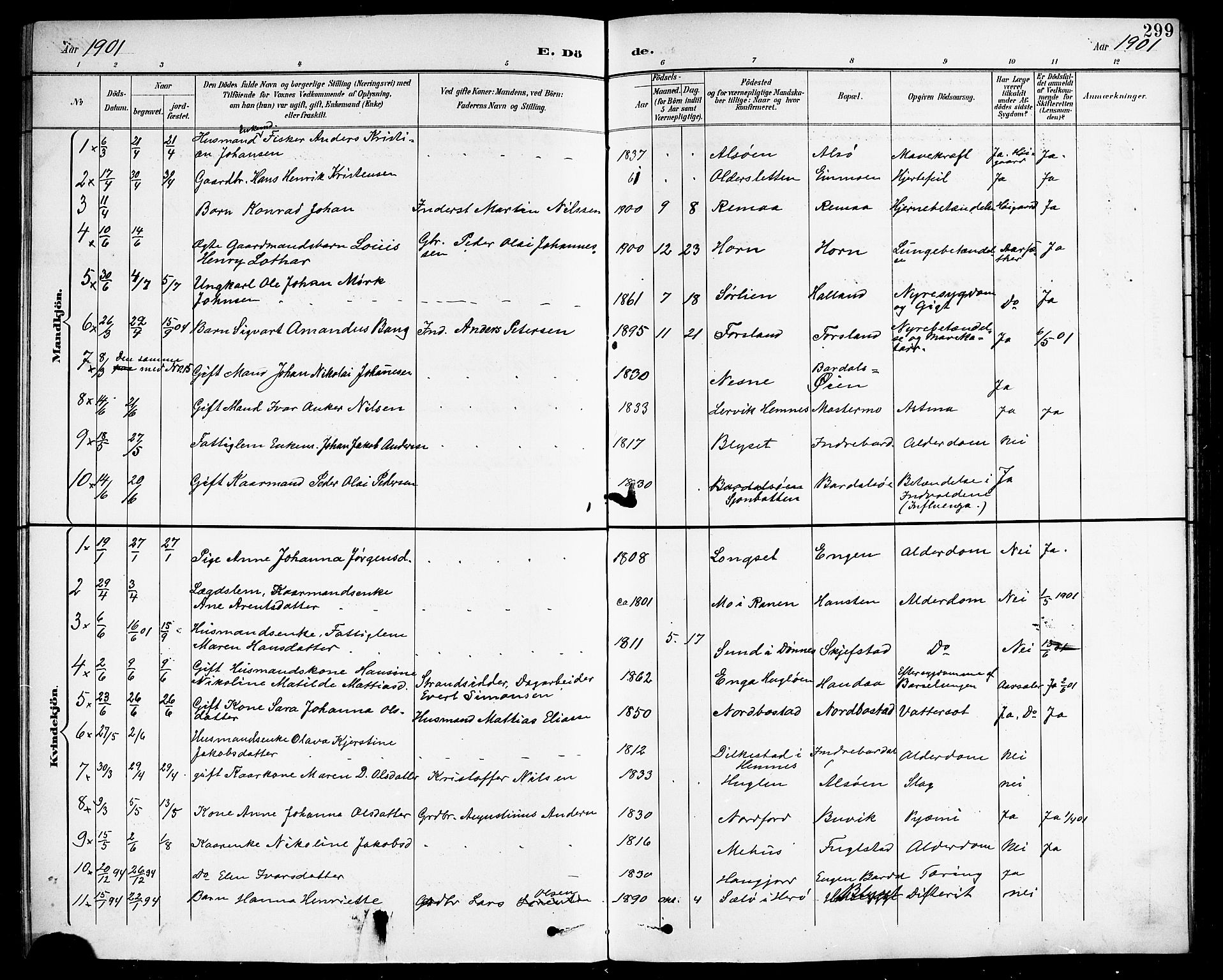 Ministerialprotokoller, klokkerbøker og fødselsregistre - Nordland, AV/SAT-A-1459/838/L0559: Parish register (copy) no. 838C06, 1893-1910, p. 299