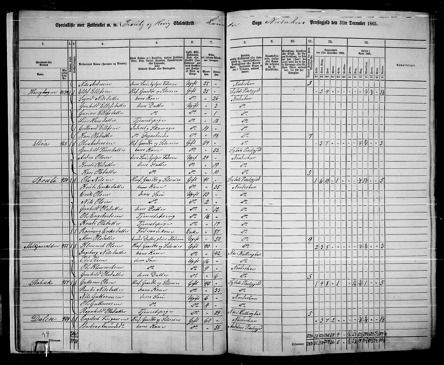 RA, 1865 census for Norderhov/Norderhov, Haug og Lunder, 1865, p. 25