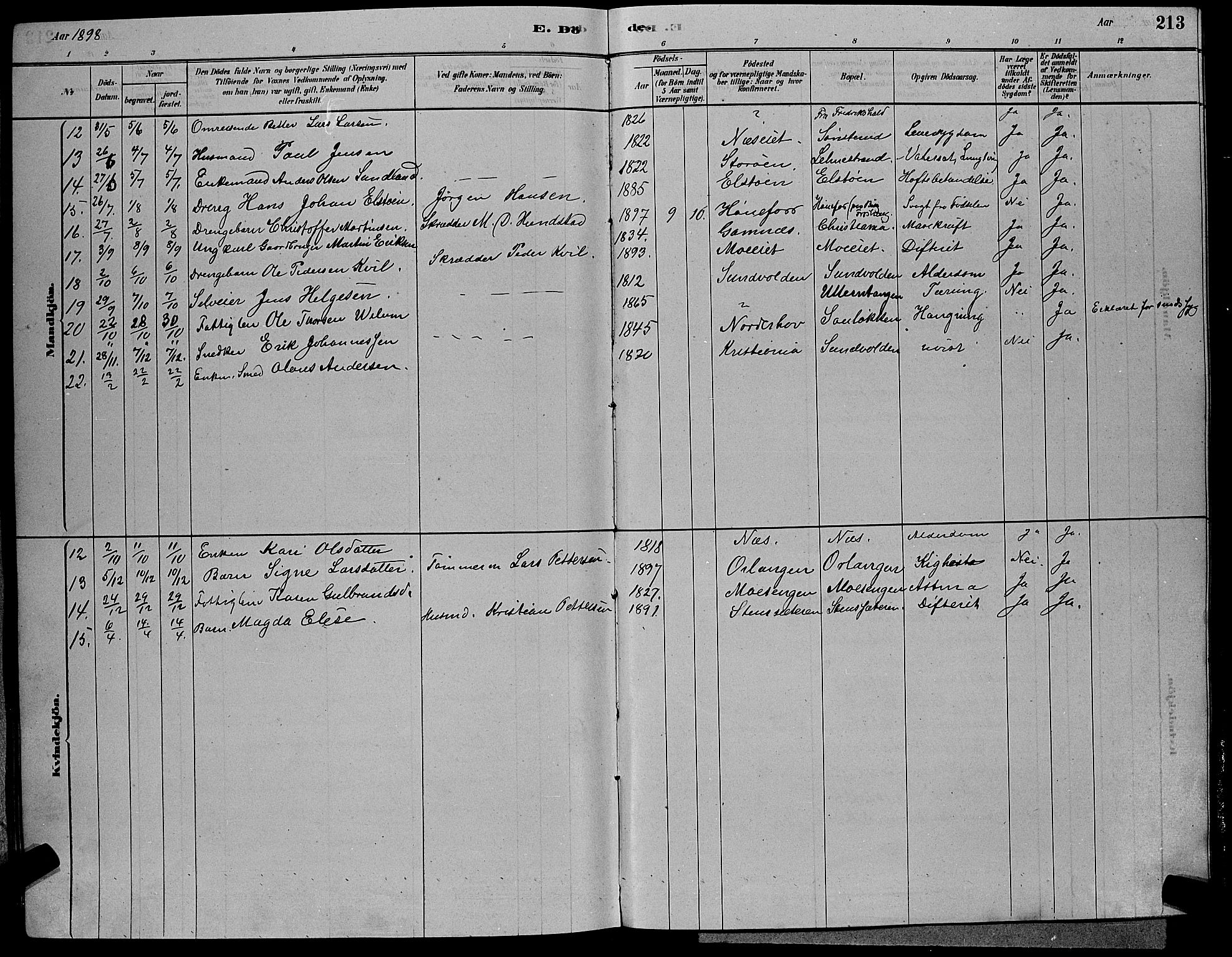 Hole kirkebøker, SAKO/A-228/G/Ga/L0003: Parish register (copy) no. I 3, 1879-1904, p. 213