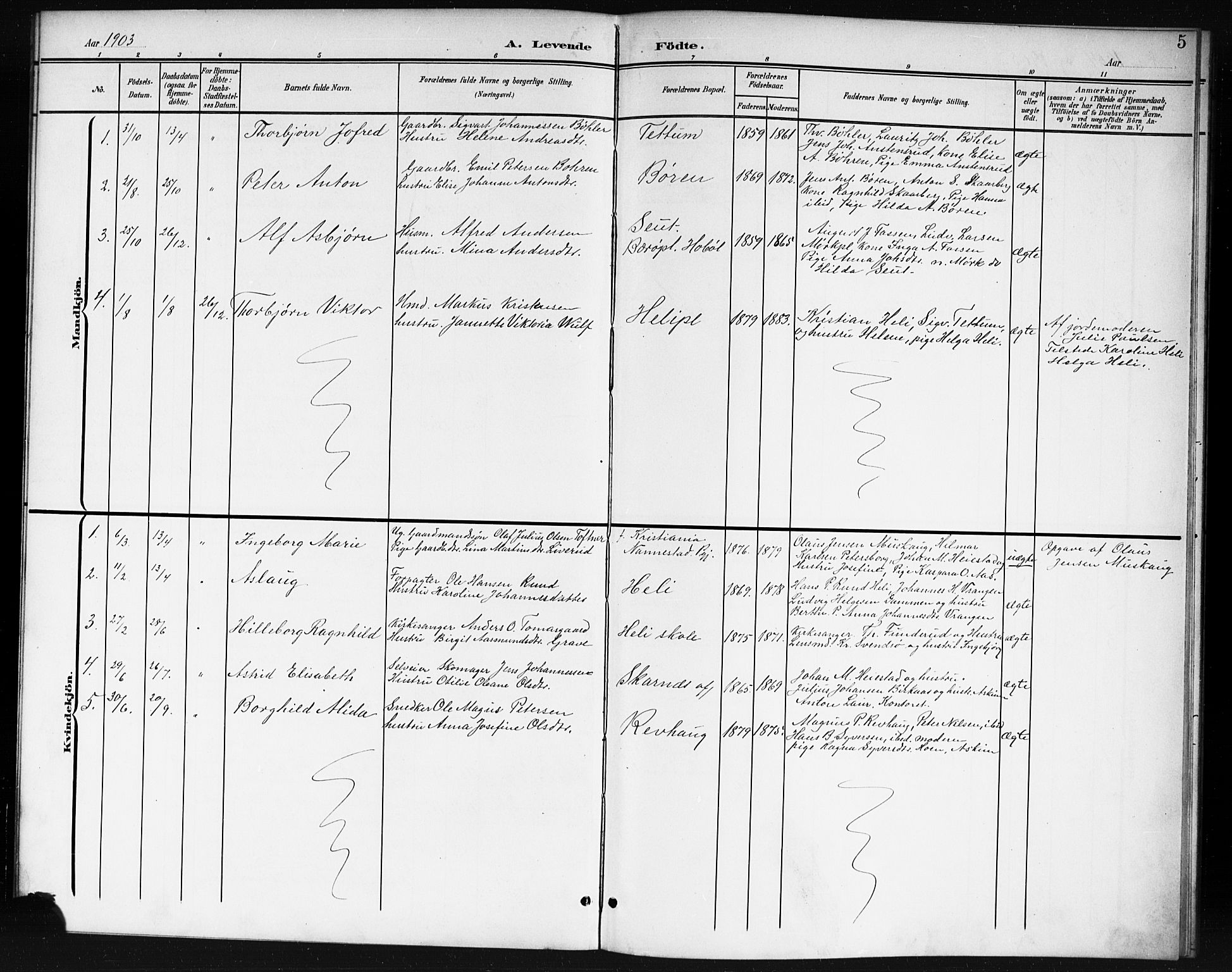 Spydeberg prestekontor Kirkebøker, AV/SAO-A-10924/G/Gc/L0001: Parish register (copy) no. III 1, 1901-1917, p. 5
